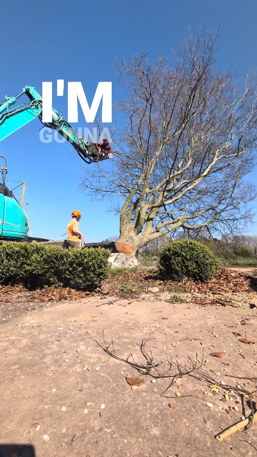 Last working day of 2025 completed and a look back on the first 6 months of what has been our biggest and busiest year yet 🎉🌳 A big thank you to all of the staff, contractors, hire companies, clients and anyone else who has made this year what it has been!! Exciting things coming in 2026!!
@m1waymason @treemonkey13 @bethandewey @thearbprentice @freddie.halls @arran_sedgwick @affordable_access_hire_ltd @exsel.plant @maxpearce91 @rossstev81 @smithyl77
@rotoarb_and_lifting
#treework #treesurgery #treeremoval #treesafetyworks #hampshiretreesurgeon