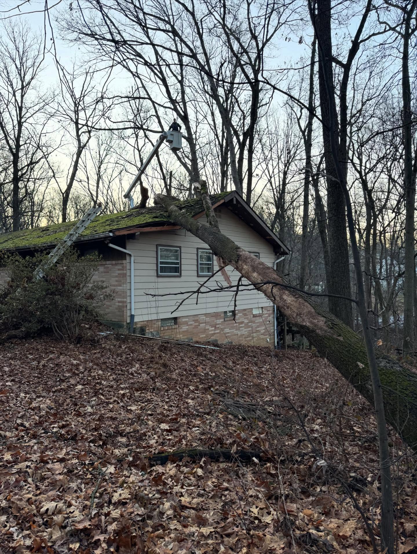 Little emergency job before Christmas #wpm #willspropertymaintenance #treeandlawncare #chestercounty #treeservice