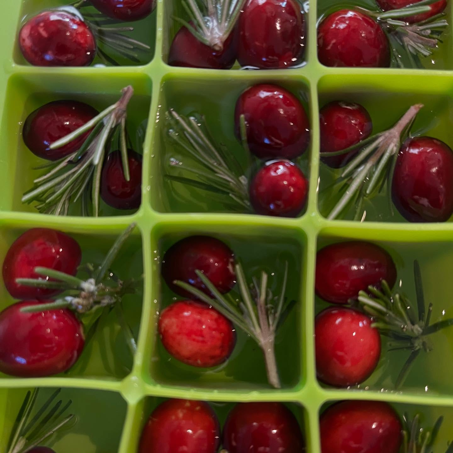 Jack’s fancy ice cubes #readytohost #traditions