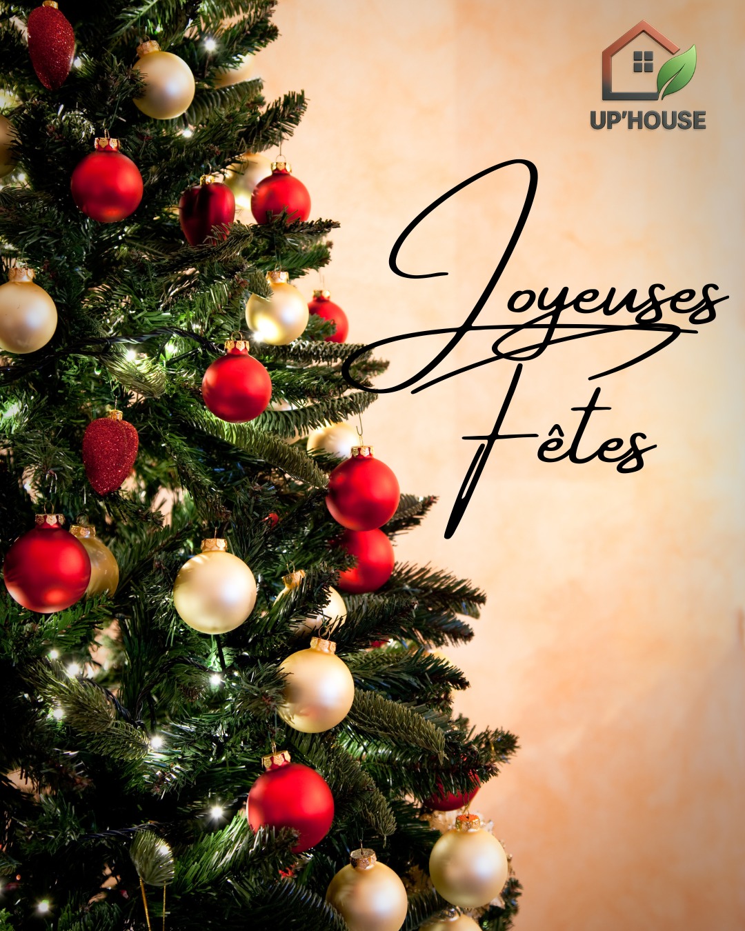 🎄 JOYEUSES FÊTES DE FIN D’ANNÉE ! ✨
Toute l’équipe Up House vous souhaite de très belles fêtes 🎅🎁
Merci pour votre confiance tout au long de l’année :
vos toitures, vos façades et vos jardins ont été entre de bonnes mains 🙌
Place maintenant à quelques jours de douceur, de partage et de lumière.
Profitez de vos proches, rechargez les batteries… on se retrouve en 2026 pour embellir encore votre maison 🏡✨
Belle fin d’année à tous ❤️
#UpHouse #JoyeusesFetes #BonnesFetes #Noel2025 #FetesDeFinDannee #Merci #ClientsHeureux #RenovationMaison #EntretienMaison #Isere #RhoneAlpes #Valencin #EspritDeNoel