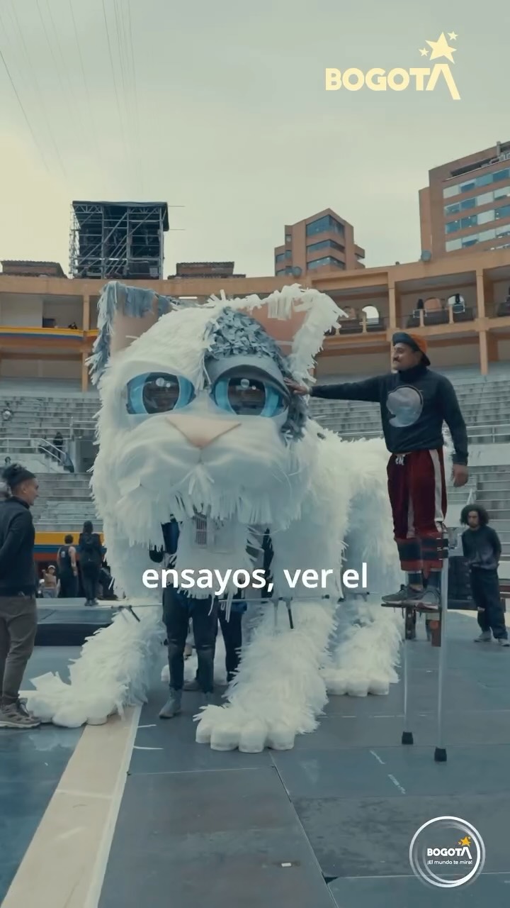 Detrás de la magia de “Más allá de las nubes” en la Plaza cultural La Santamaría , hubo una alianza poderosa trabajando sin descanso.
Felipe Ortiz (@lagatacirko) en la dirección artística, junto a Alba Mora y Raúl Garcés (@alalba_producciones) en la producción general, unieron su experiencia para demostrar que en Bogotá tenemos el talento y el rigor para crear espectáculos de talla mundial. 🌎🎪
Gracias por confiar en este equipo y por hacer parte de este sueño cumplido.
#NavidadEsCultura2025 #BogotaSoñada #MasAllaDeLasNubes
@CulturaenBta @alcaldialocalsantafe @alcaldiadelacandelaria @idrdbogota @alcaldiabogota
Una producción de Al Alba Producciones en alianza con La Gata Cirko. @alalbaproducciones @lagatacirko
Producción general: Al Alba producciones @alalbaproducciones
Director artistico: Felipe Ortiz @felipe.moves
Realización de video: @colibri.film
Marketing digital: Bibiana Castillo @soybibicastillor