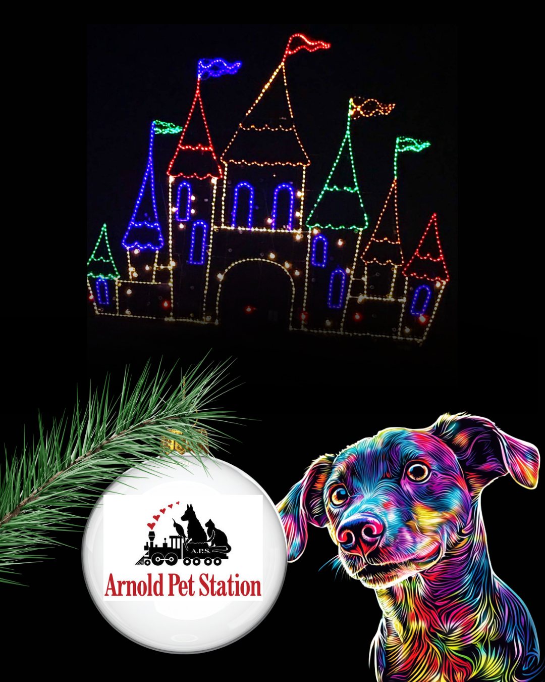 Arnold Pet Station is your friendly neighborhood hub for veterinary care, daycare and boarding, and professional grooming—all under one roof. With rewards programs, discounts, fear-free–trained staff, and a deep love for both patients and their people, they’re committed to compassionate care. We’re proud to have Arnold Pet Station as a Lights on the Bay sponsor and partner in supporting the SPCA of Anne Arundel County.
#SPCAofAnneArundelCounty #AACSPCA #LightsOnTheBay #ArnoldPetStation #VeterinaryCare