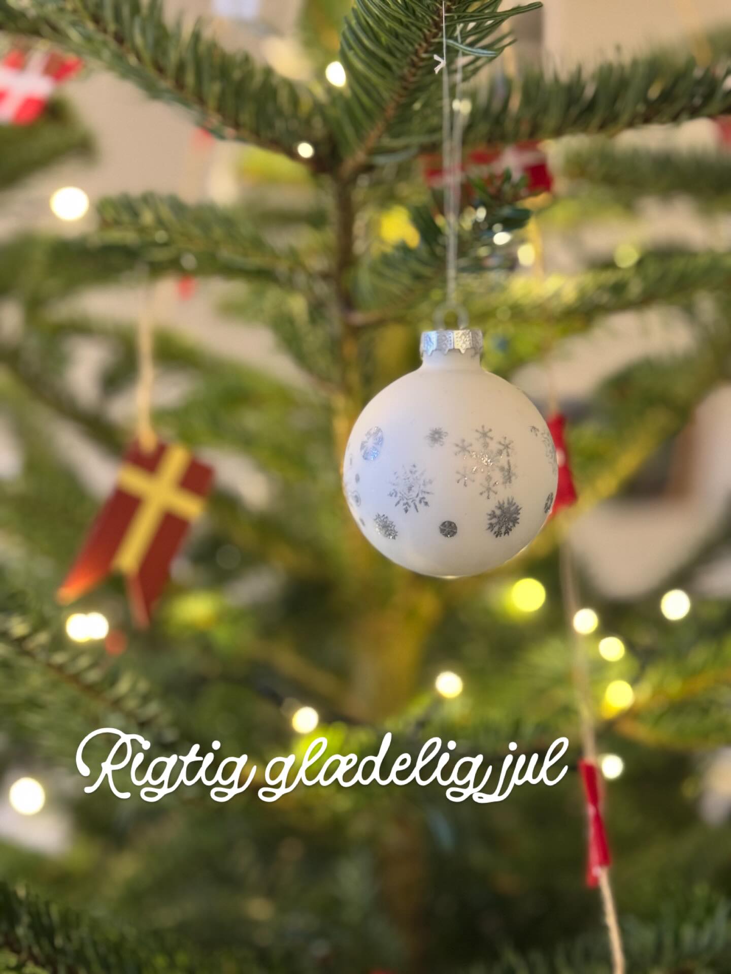 FRA ALLE OS TIL ALLE JER:
Rigtig glædelig jul 🎄🌟❤️
Må I alle få den skønneste aften sammen med dem, I holder af - og må sværen være sprød, sovsen være rigelig og gaverne være lige dem, du har ønsket dig 🥰
#Juleaften #Jul #Friskoleliv #HerningFriskole #EtGodtStedAtLæreVæreOgVokse
