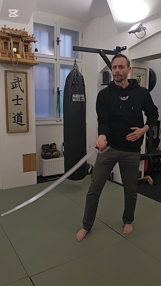 Black Sabre by @ensifer.chodkiewicz Hoodie and online course by @sztukakrzyzowa lessons by @leonardmarynowski Foundations by @acma89 and @cordaodecontas
Check out www.goodhealthsociety.com/good-back-academy