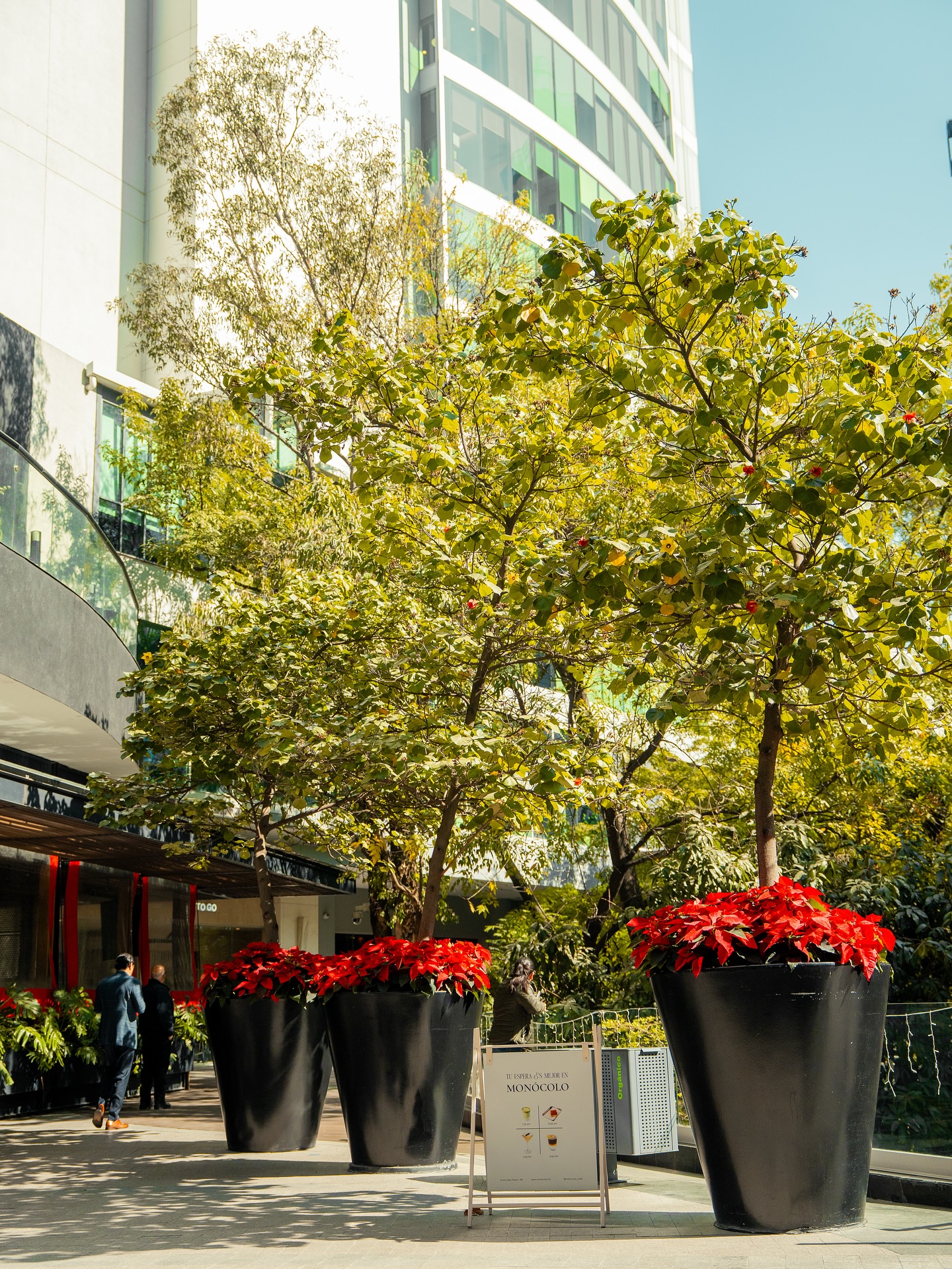Caminar en Punto Sao Paulo es conectar con la naturaleza y disfrutar de la mejor temporada. ✨♥️
