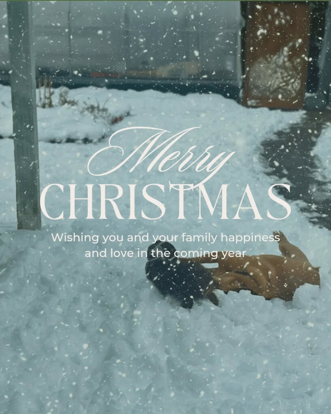 We wanted to take a moment to wish you happy holidays and to say thank you for being part of our community. Every visit, conversation, question, and shared bit of excitement over plants is what makes this place what it is. This quieter season gives us time to reflect, plan, and work toward improvements that will make future seasons better, stronger, and more sustainable. We’re using this time intentionally—looking ahead, refining ideas, and preparing for what’s next. We’re deeply grateful for the trust you place in us and for choosing to grow alongside a small, local nursery.
We’ll be back and growing again on April 1—and we can’t wait to welcome you then.
Until spring,
Summit Sprouts