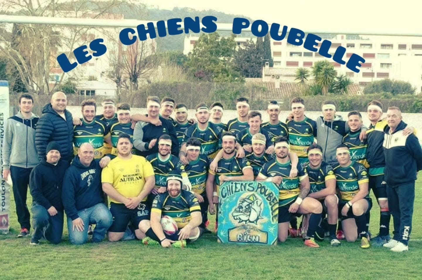 Les chiens poubelle #rugby #délire