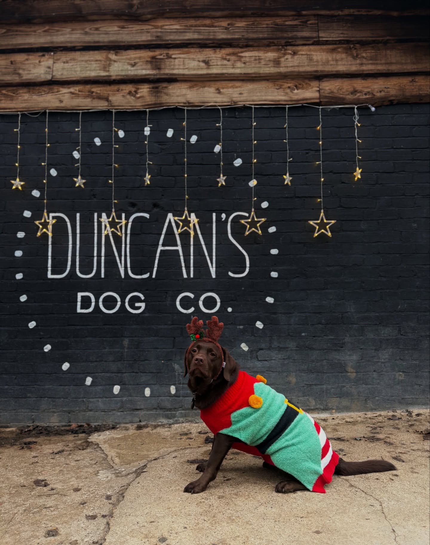 Merry Christmas Eve eve 🎄🦌❤️✨