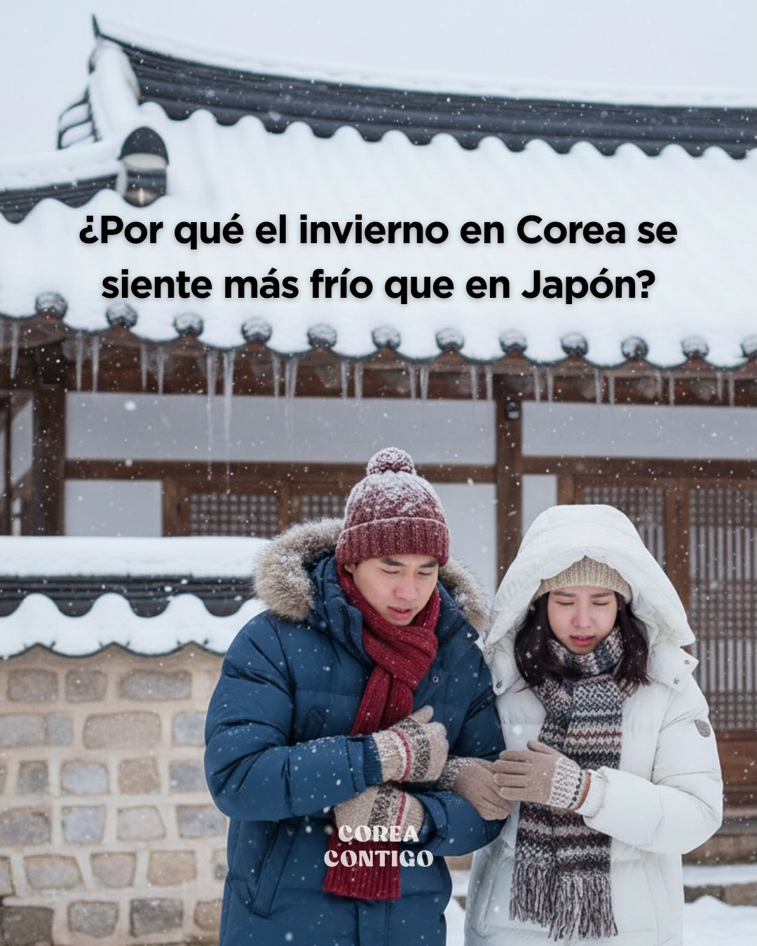 ❄️ ¿Por qué el invierno en Corea se siente más frío que en Japón? 🇰🇷🇯🇵
Corea y Japón están en latitudes muy similares,
pero en invierno la sensación es completamente distinta 🤔
🔹 Invierno en Corea
✔️ Recibe directamente el aire frío que baja desde Siberia
✔️ No es raro que las temperaturas lleguen a –10 °C o incluso menos
✔️ Pero dentro de casa…
👉 ¡El suelo está caliente gracias al sistema tradicional de calefacción ondol! 🔥
Los interiores suelen ser muy cálidos y acogedores.
🔹 Invierno en Japón
✔️ El aire frío cruza el mar y se vuelve un poco más suave
✔️ Las temperaturas suelen ser más templadas
👉 ❄️ Pero nieva muchísimo
✔️ La calefacción es más localizada:
kotatsu, estufas, mantas eléctricas
👉 Es común usar abrigo incluso dentro de casa 🧥
💡 En resumen
👉 Corea: frío intenso afuera, casas muy cálidas
👉 Japón: mucha nieve, interiores más fríos
📍 Para que lo tengas en cuenta
👉 Hoy en Seúl y en la zona metropolitana las temperaturas bajaron a –10 °C o menos.
El invierno en Corea puede ser muy frío,
así que ven bien preparado y disfruta tu viaje con comodidad y seguridad 😊
🧳 Consejos para viajar a Corea en invierno
✔️ Trae ropa de invierno gruesa y en capas
✔️ Un abrigo largo hace una gran diferencia
✔️ No olvides los hot packs (calentadores de manos) ❄️🔥
✔️ Botas cómodas y antideslizantes
✔️ Los cafés, tiendas y el transporte público están bien calefaccionados
#corea #coreadelsur #coreacontigo #coreacontigotour #viajeacorea #turismocoreano #toursenespañol #toursencorea #guíaenespañol #CoreaEnInvierno #InviernoEnCorea
#ViajarACorea #ConsejosDeViaje
#FríoCoreano #Ondol #viajareninvierno #한국겨울 #한국추위