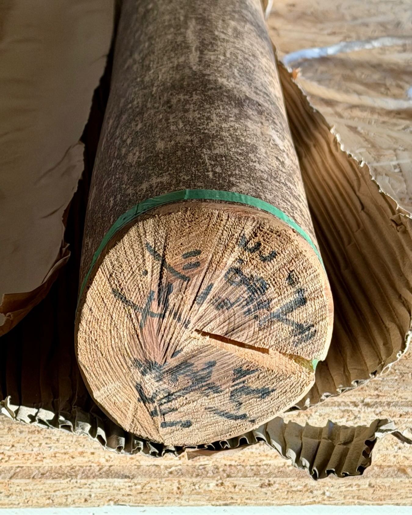 Tokobashira från Japan!