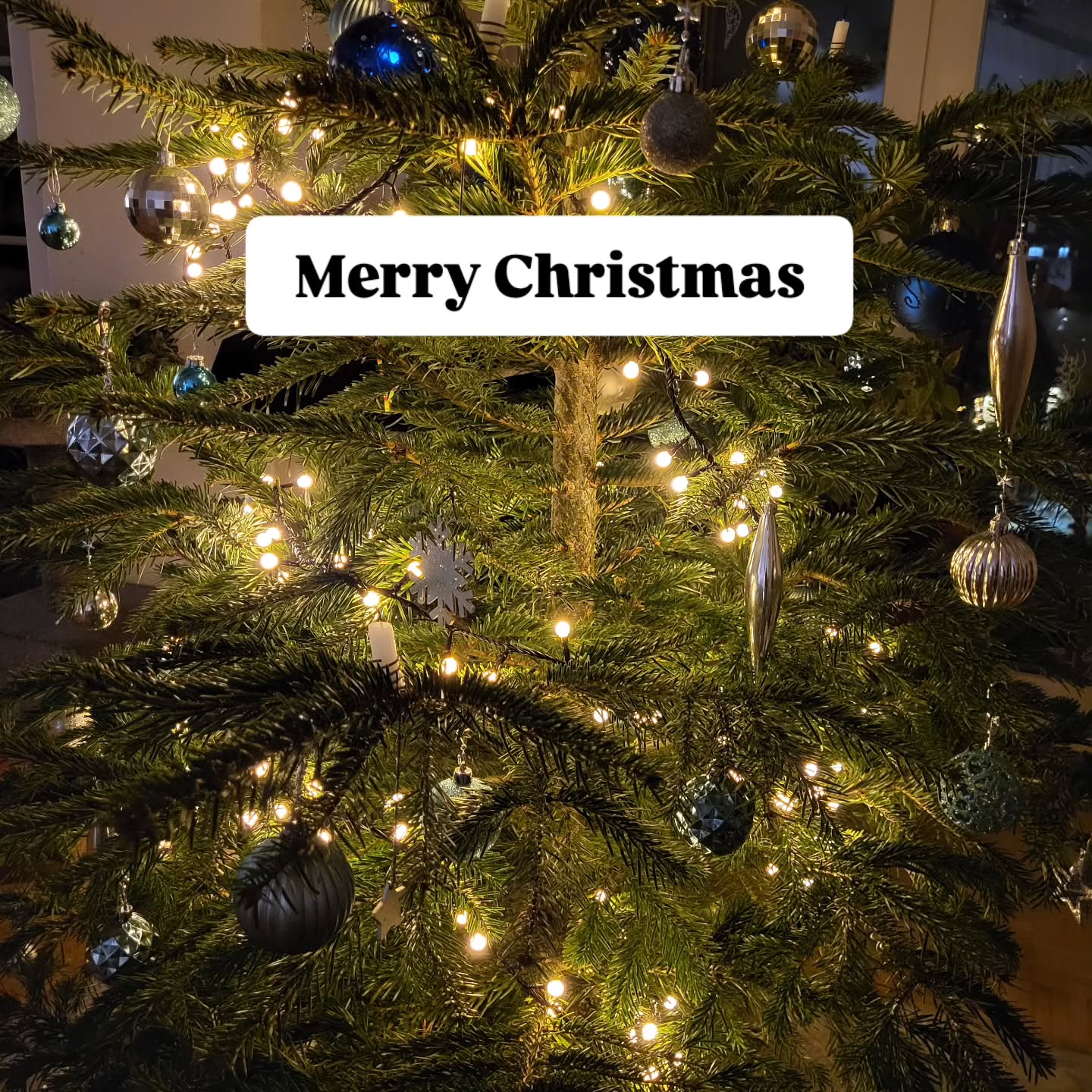 Von Herzen wünsche ich dir und deinen Liebsten frohe Feiertage und fürs neue Jahr nur das Beste! Möge das 2026 für uns alle viel Freude, Leichtigkeit, Spass, Energie, Gesundheit, Glück, Mut und Erfolge sein. Ich habe das Gefühl, es wird ein Power-Jahr.
Lasst euch Zeit, das 2025 in Ruhe abzuschliessen, um bereit zu sein für alles, was kommt.
Ich freue mich darauf, dich im neuen Jahr auf irgend eine Weise begeleiten oder berühren zu dürfen.
Ich sende dir ganz viel Licht und Liebe✨️💗.
Herzlich, Jacky 🦋
#hochsensibilität #hochsensibel #hochsensible #sensibel #neurodivergent