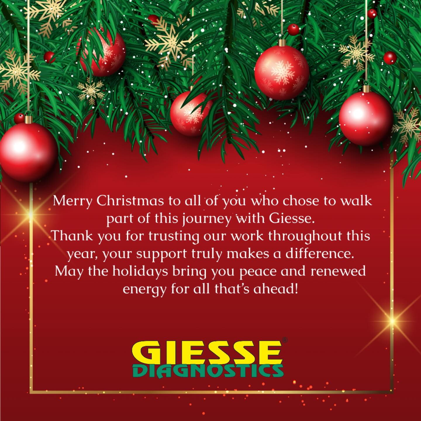 GIESSE DIAGNOSTICS’ TEAM wish you a joyful Christmas 💫
