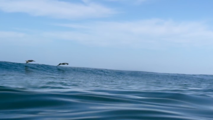 Winter vitamin SEA with @xirimirisurfcoaching 🇨🇷