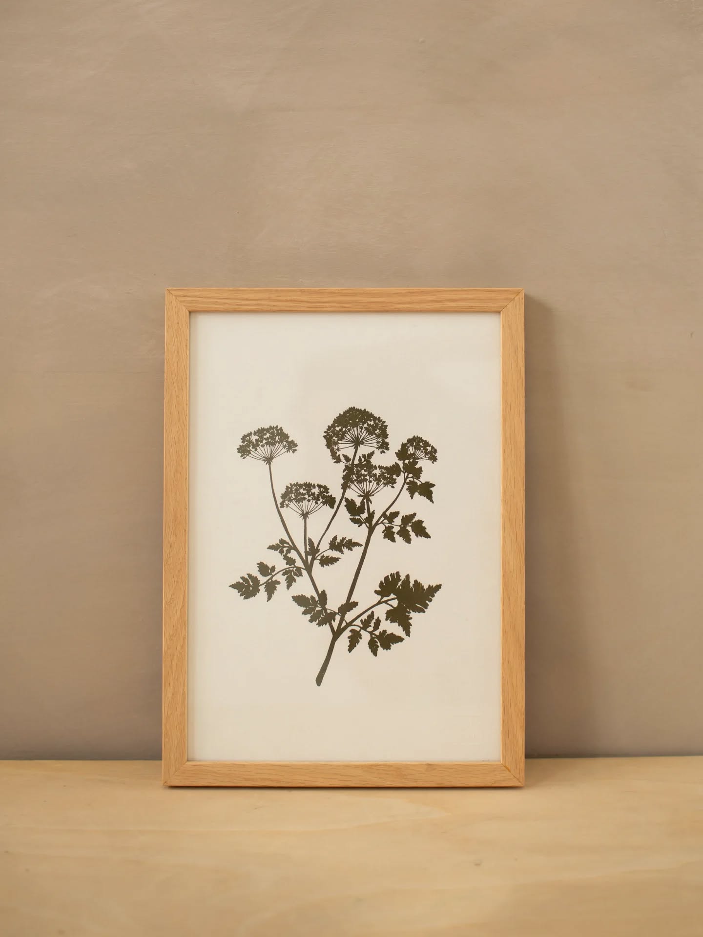 Douce soirée avec notre sérigraphie ombelle.
.
.
.
#poussieredesrues #serigraphie #screenprinting #illustrations #drawing