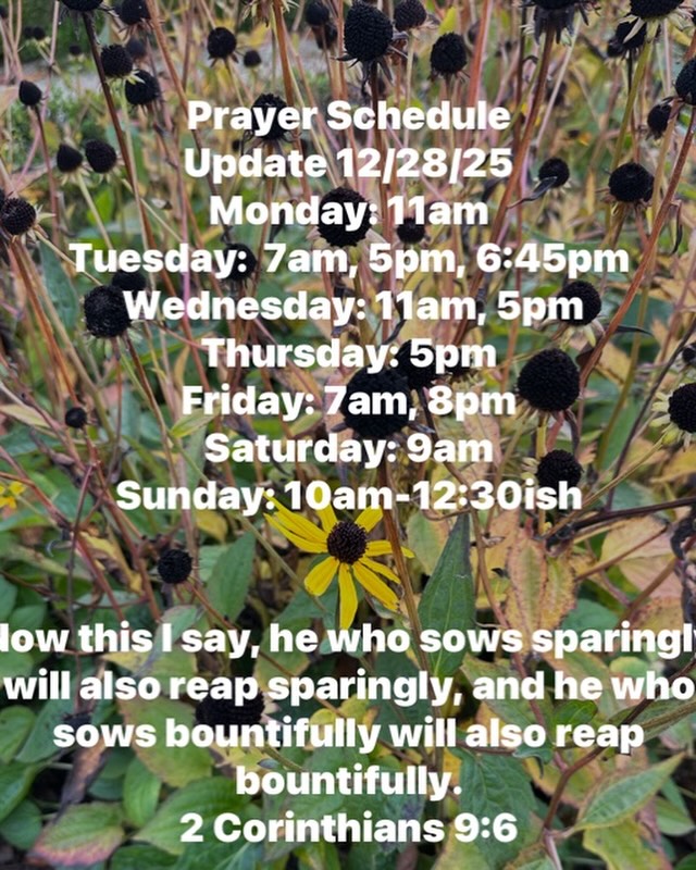 For updates and full schedule go to
www.lighthop.org
Lighthouse of Prayer
1011 N 26th St
Kalamazoo, MI 49048
Streaming link at www.lighthop.org
Not forsaking the assembling of ourselves together, as is the manner of some, but exhorting one another, and so much the more as you see the Day approaching. Hebrews 10:25
Brethren, pray for us.
1 Thessalonians 5:25