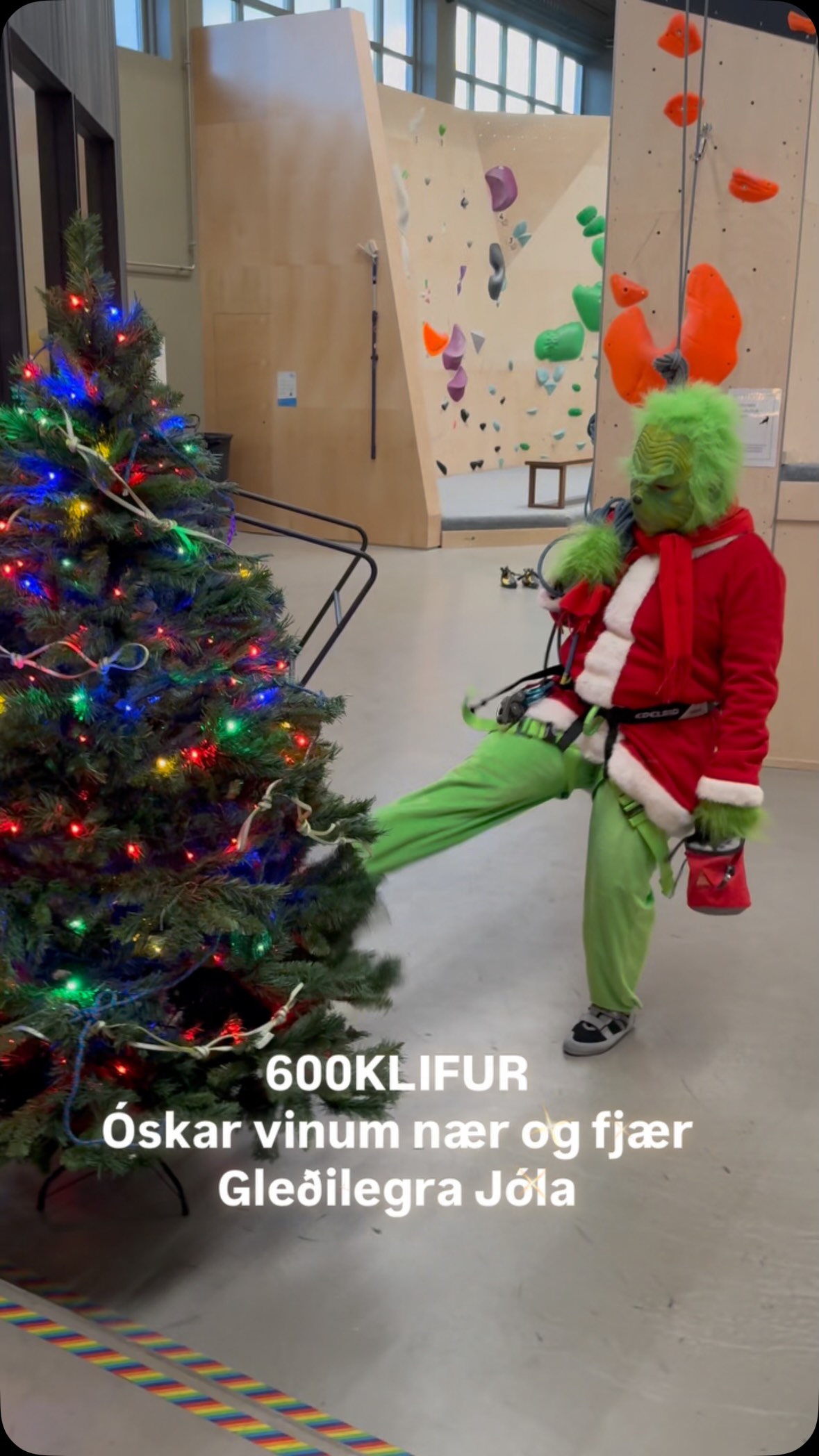 Innilegar jólakveðjur kæru vinir nær og fjær✨