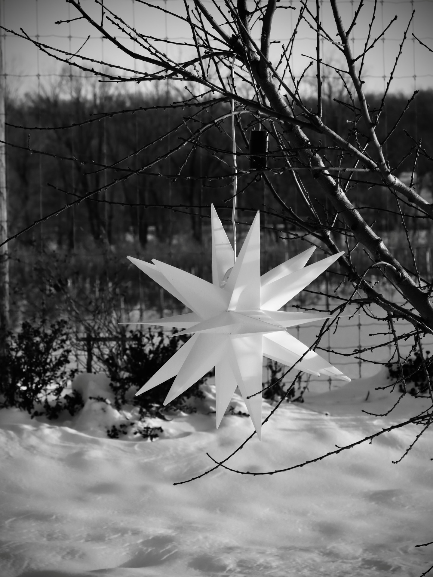 As the year winds down, we’re feeling extra grateful for our family, for the quiet of the winter, and for everyone who came out to the farm this season and who supported local farms! Wishing you all a peaceful, joyful Christmas from the O’Connell Family to yours❤️🎄