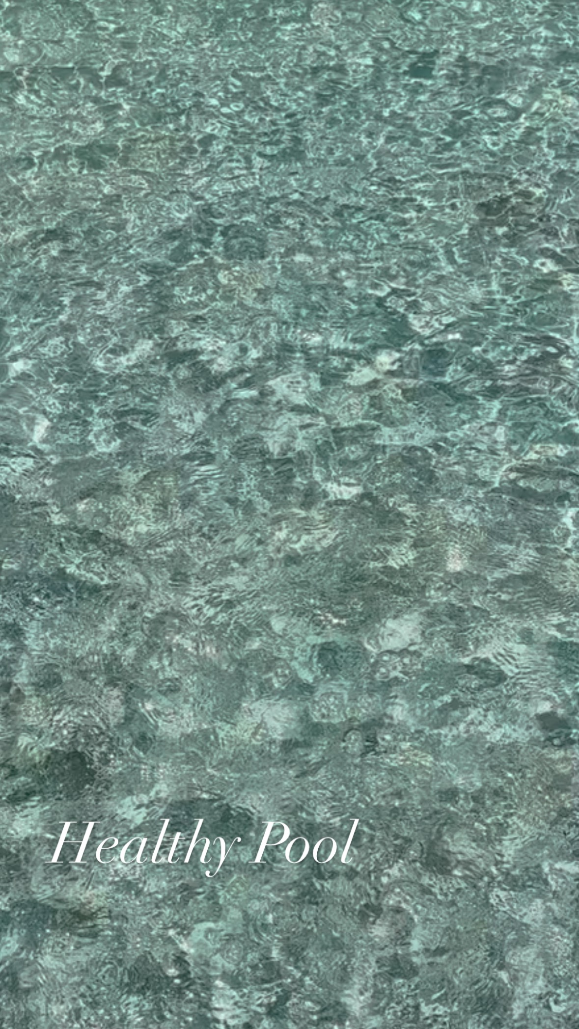 A long time in the making and truly a labour of love 🤍
After many hurdles, delays, wild weather and rising costs, our pool is finally filling with water.
My husband took on the huge task of building our 12 × 4.4 m pool and a large pool house himself. The past few months have been physically intense, but he made it. There’s still plenty to do around the outside, yet this major milestone is done.
Could we have done it cheaper and sooner? Yes. But we didn’t want shortcuts.
The pool is designed to be as healthy and low-maintenance as possible: 2x Pentair pumps, a huge Pentair sand filter, a Q360 in-floor cleaning system by Waterco, large Pentair heat pump for year-round swimming, a chlorine-free Bionizer system, Sukabumi natural stone tiles, and best quality magnesium to finish it off.
It came with a hefty price tag, but seeing it come to life makes it all worth it. Hoping for our first swim in the next few days 🤞
@pentair
@bionizerpoolsystems
@stone_style__
@watercolimited
#labouroflove #poolbuild #homerenovation #projectcomplete #slowbuild qualityoverquantity healthyhome