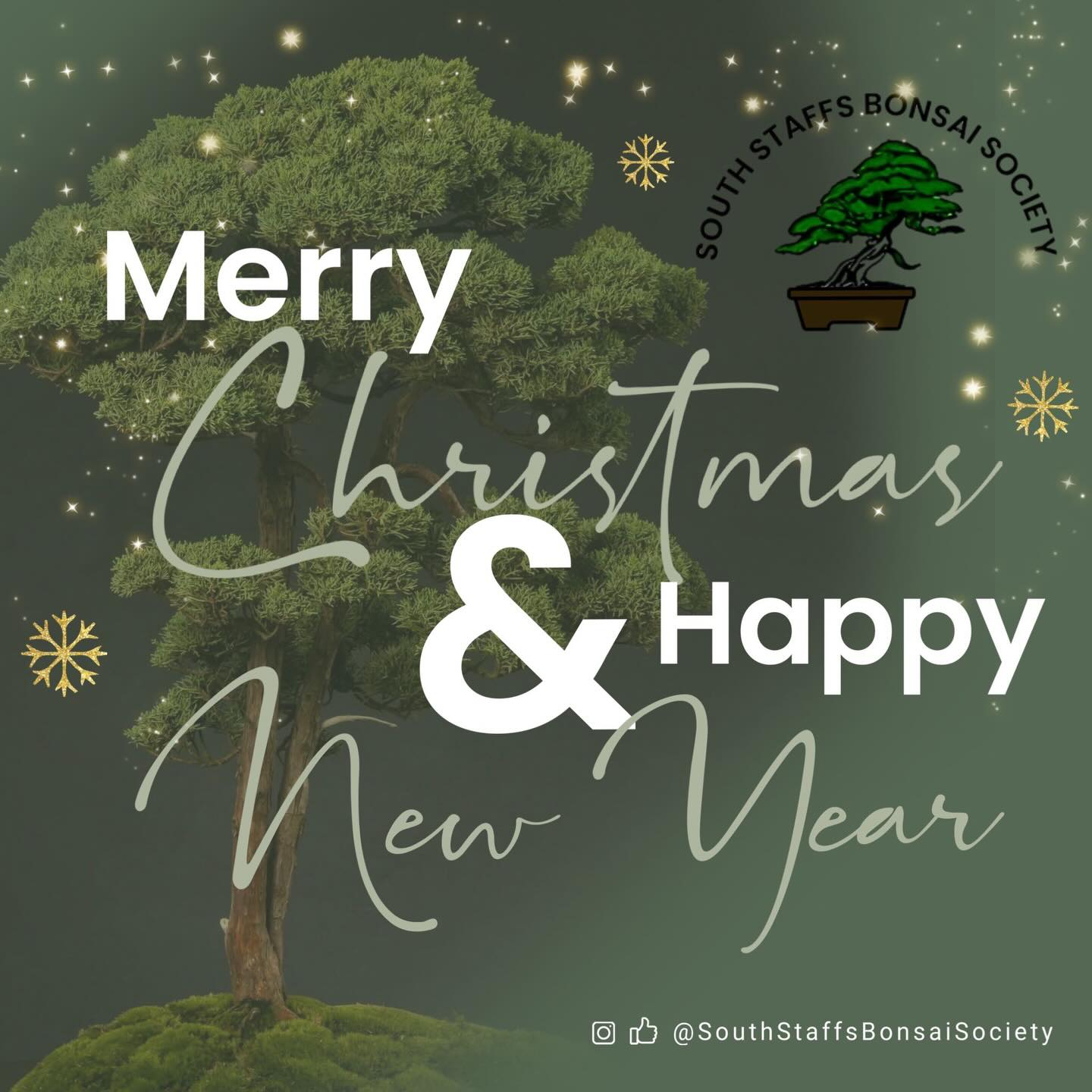 Merry Christmas from @southstaffsbonsai