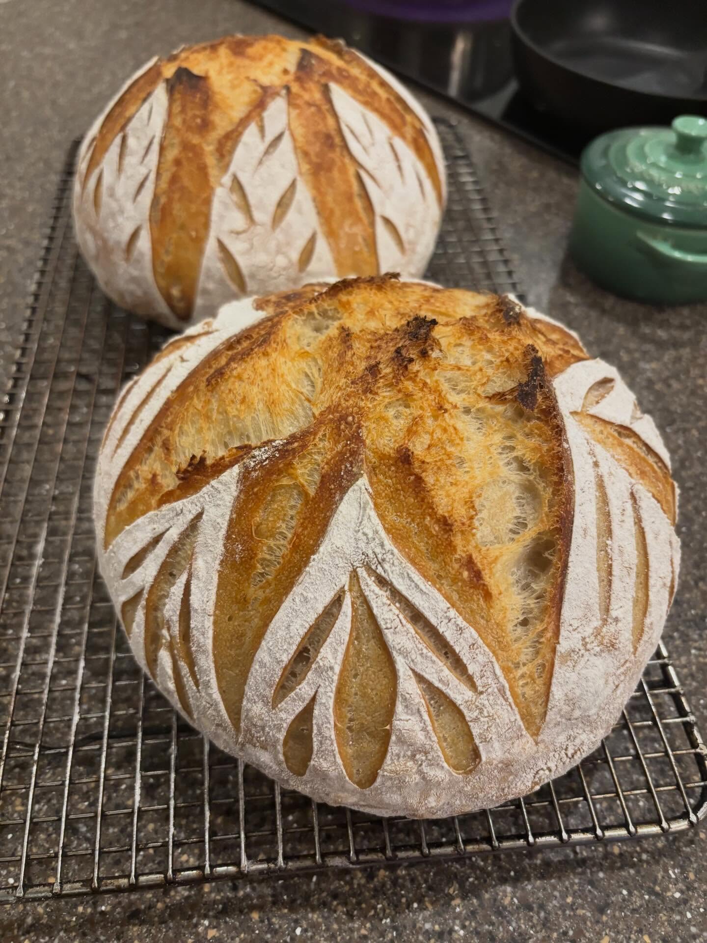 Alex‘s beautiful Christmas sourdough loaves