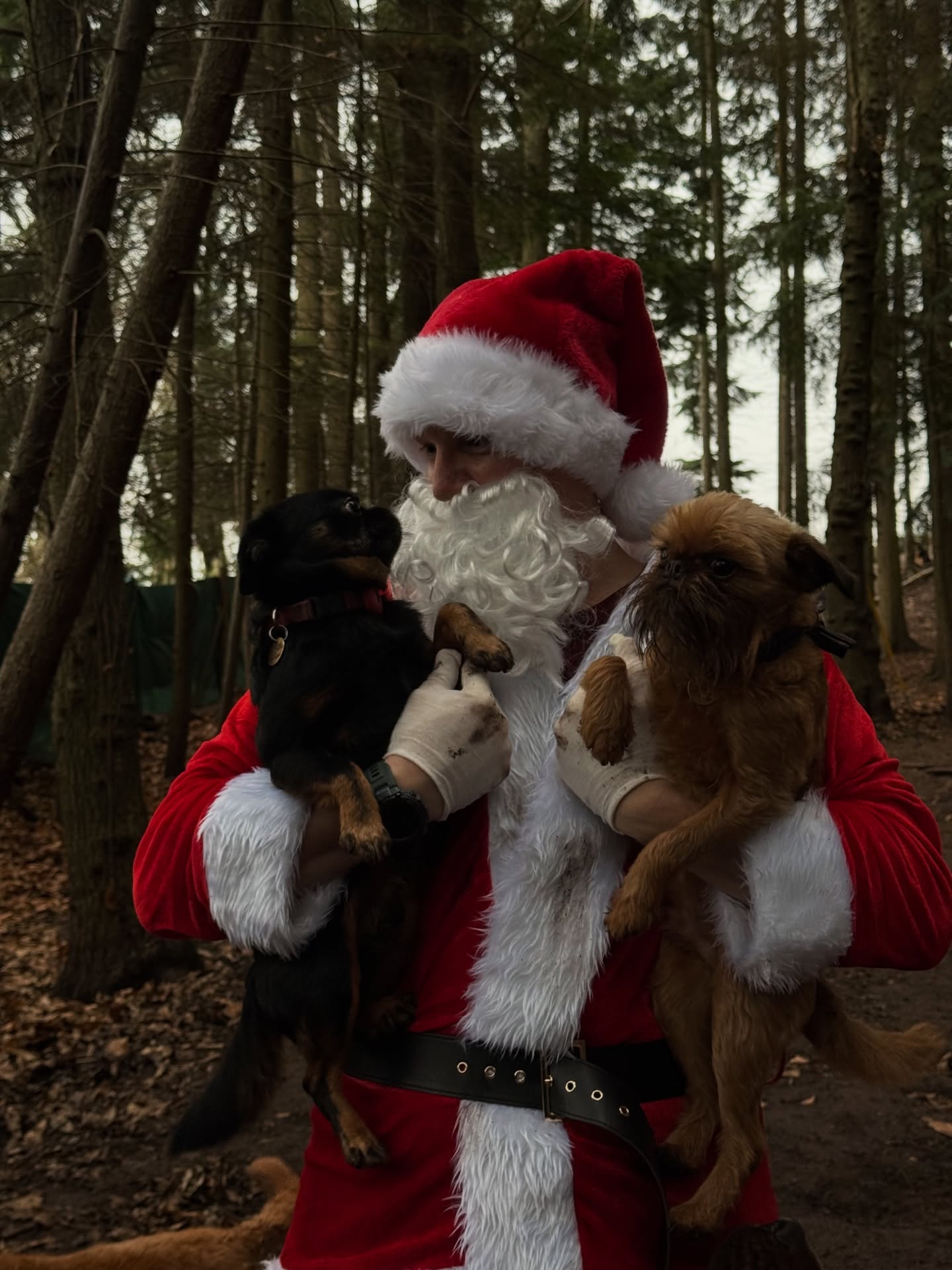Santa paws came to see us all here at Duncan’s, All of our pups are on the nice list so lots of treats and cuddles from St .Nick 🐾🥰🎄🎅🏼 Happy Christmas Eve to all of our Duncan family! 🎄