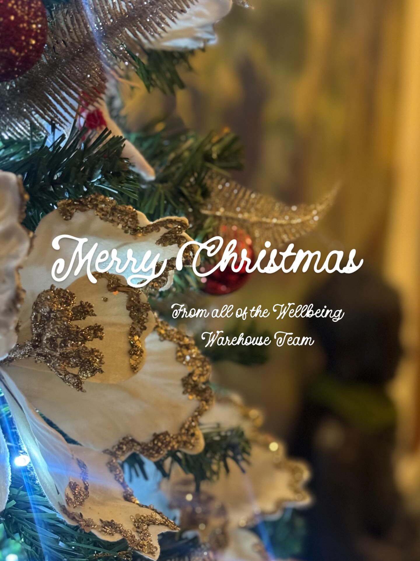 Merry Christmas from Wellbeing Warehouse 🙏🏽
This season, may you slow down, breathe deeply, and find joy in simple moments.
As the year softens to a close, we invite you to rest, reflect, and reconnect — with your body, your breath, and your inner light.. ..
Wishing you peace, presence, and wellbeing this Christmas, see you in the new year 🤍