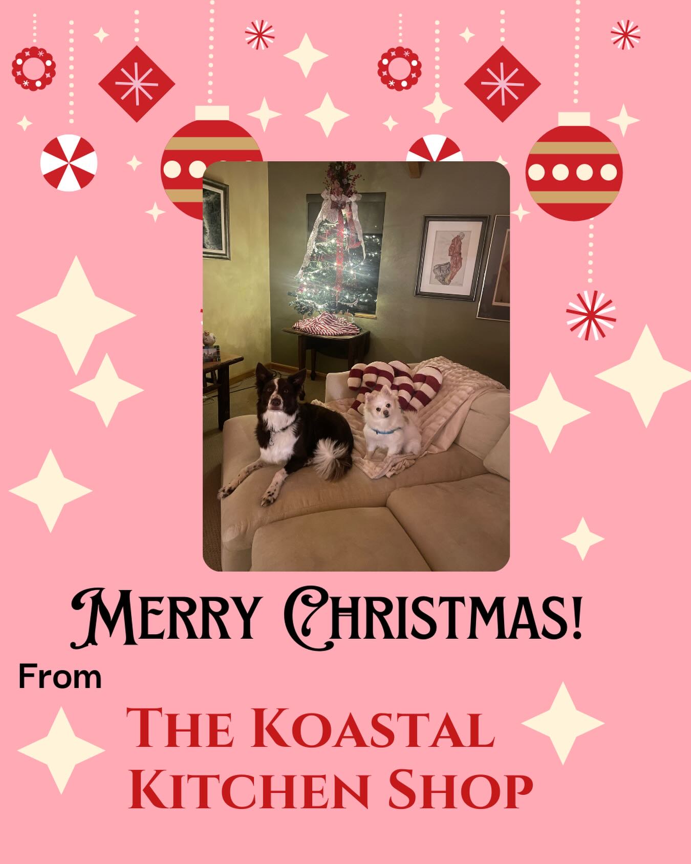 Merry Christmas! Health, peace and happiness to us all! #gualala #searanch #pointarena