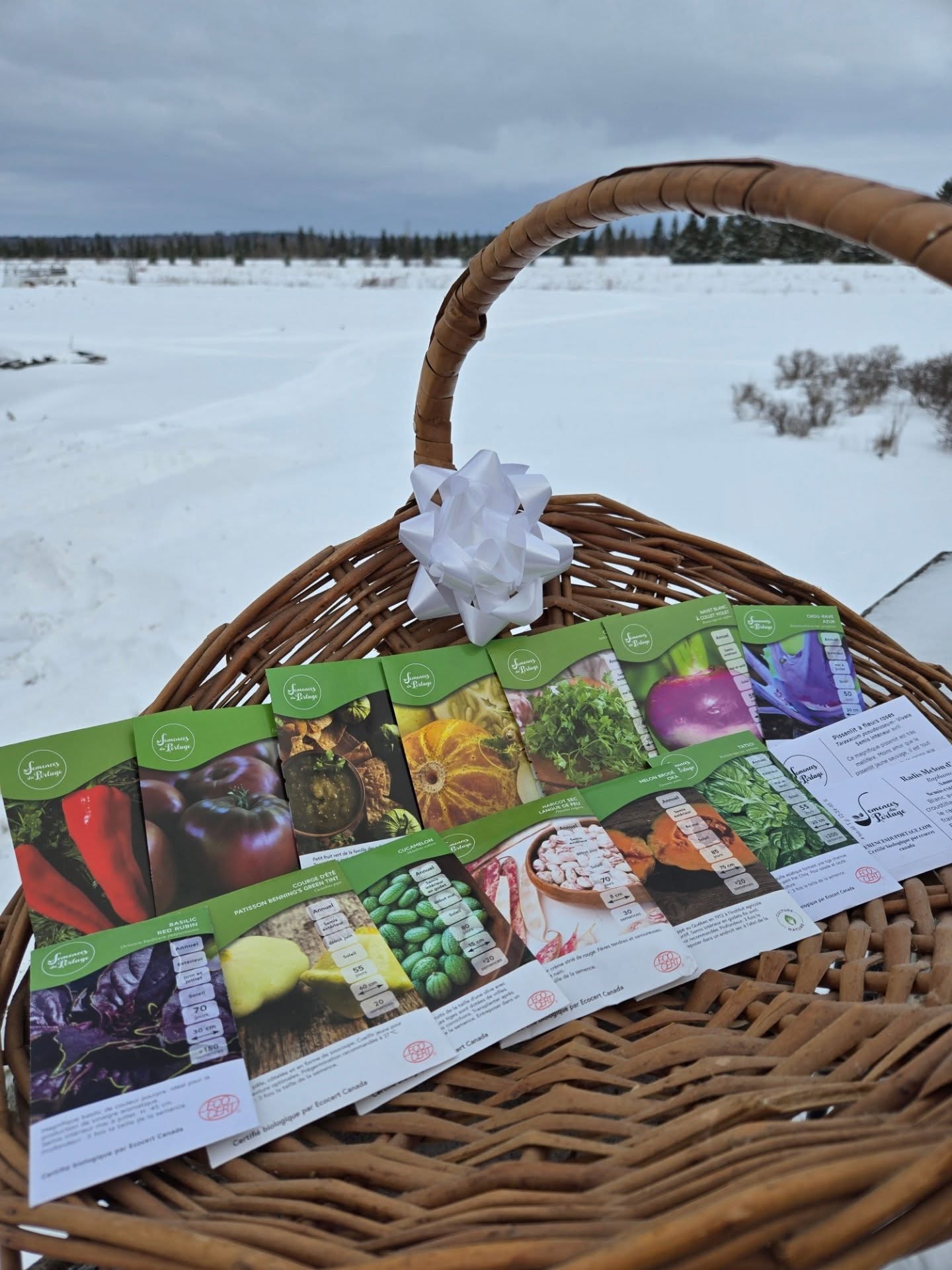 🌱🎁 24 décembre – CONCOURS !
Pour terminer notre calendrier en beauté, on fait tirer un ensemble de semences pour préparer ton jardin 2026!
Un cadeau qui promet du soleil… avant même que l’hiver soit fini 🌞💚
🎁 Pour participer (OBLIGATOIRE pour être admissible) :
✔Aime notre page (Facebook et/ou Instagram)
✔Aime la publication
✔Partage la publication (Facebook et/ou Instagram)
✔Identifie une personne en commentaire avec qui tu vas partager ton jardin ou tes semences!
Bonne chance à tous!
Contiens : Chou-rave mauve, Navet à collet violet, Cerfeuil, Concombre citron, Tomatillo, Tomate carbone, Poivron aconcagua, Basilic red rubin, Patisson d'été, Cucamelon, Haricot langue de feu, Melon brodé oka, Tatsoi, Radis melon d'eau, Pissenlit à fleurs roses
📦 Conditions du concours :
• Ouvert à toute personne résidant au Québec (expédition incluse)
• 1 ensemble à faire tirer
• Non monnayable, ni échangeable
• Le concours se termine le 31 décembre à minuit.
• Le gagnant sera annoncé dans une publication officielle et contacté par message privé
• Ce concours n’est ni commandité, ni administré, ni associé à Facebook ou Instagram
• Les participants doivent être âgés de 18 ans ou plus