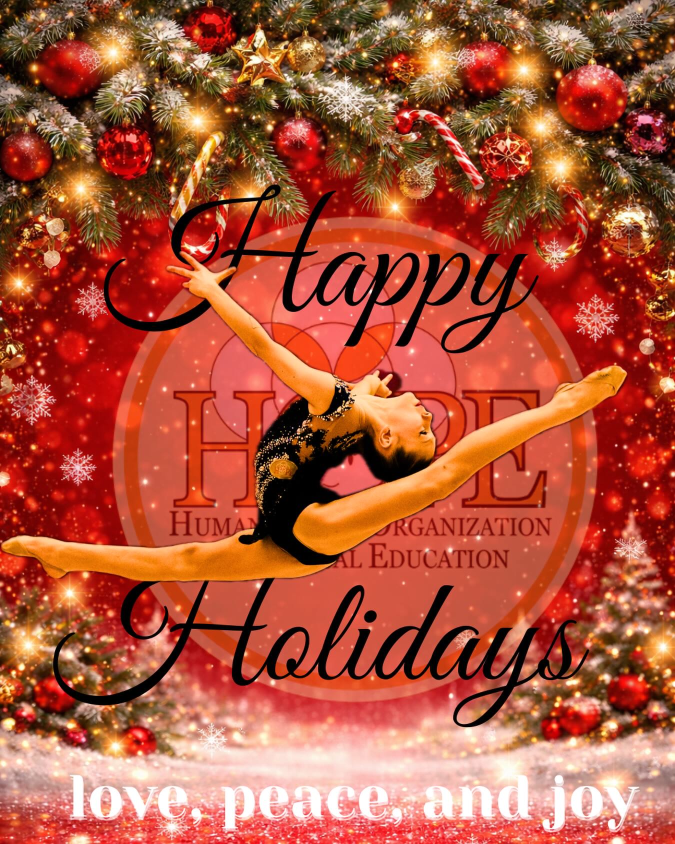 Happy Holidays!
Boas Festas!