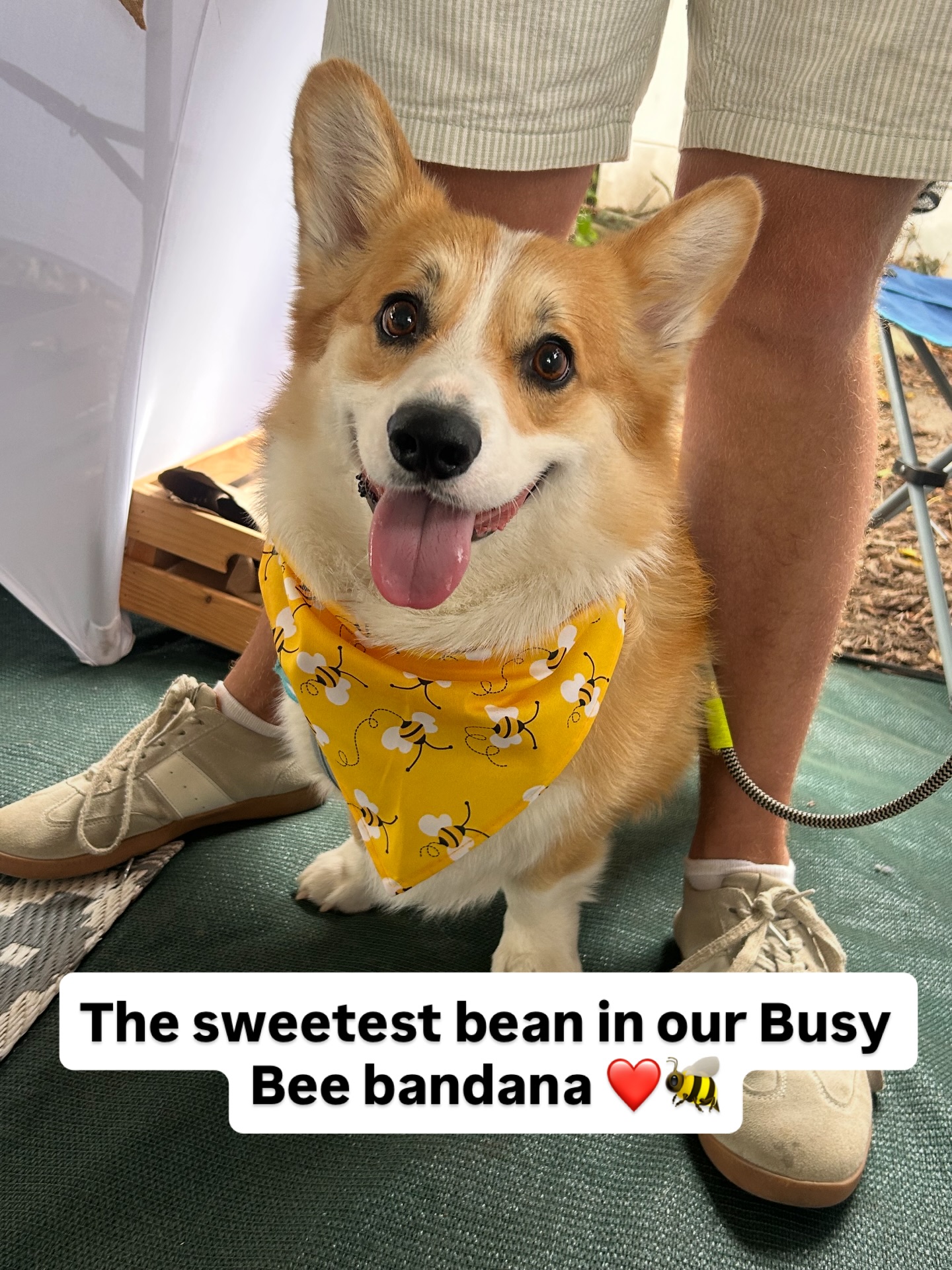HAVE YOU EVER?! 😍🐝
The sweetest bean in our Busy Bee bandana!
Find us @stfrancismarket next Tuesday:
📍Assissi Drive, St Frqncis Bay
📍17h00 - 18h00
📍30 December 2025
#dogs #supportlocal #dogmomlife