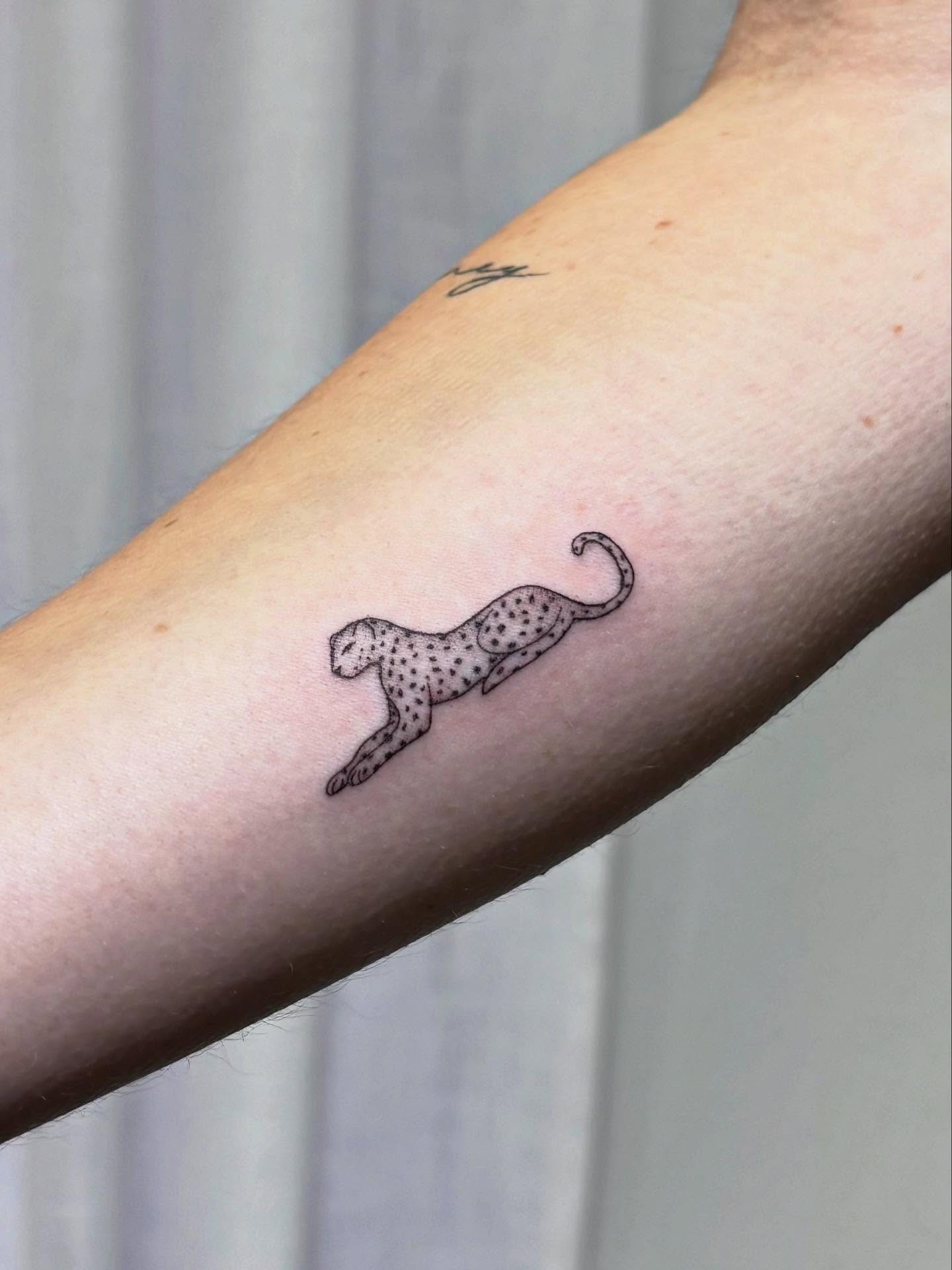 Cute little cheetahhhh 🐆