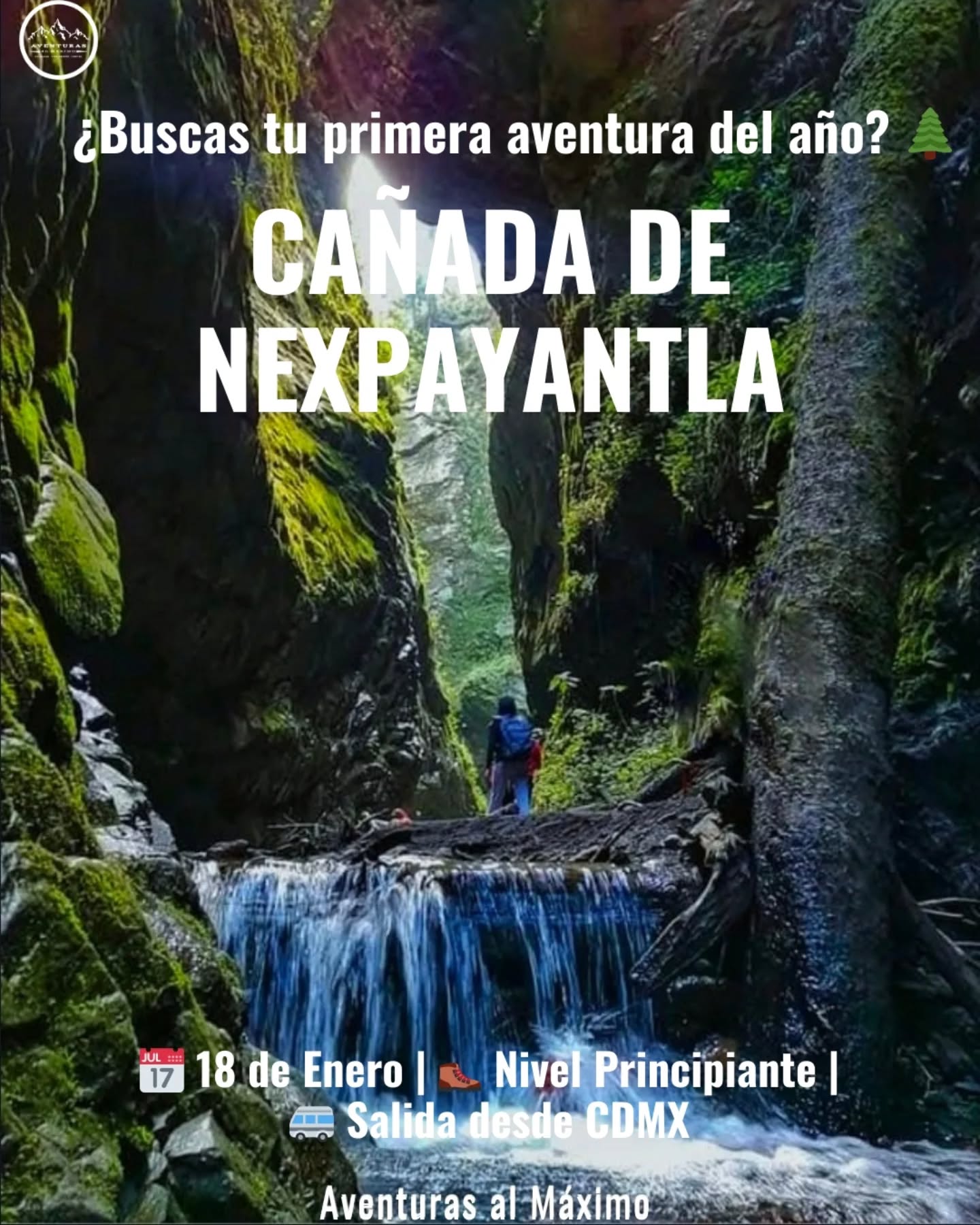 🌲 Tu primera cumbre del 2026: Descubre el secreto de Nexpayantla 🌲
¿Te prometiste viajar más y estresarte menos este año? Cumple tu propósito el Domingo 18 de Enero.
Nos vamos a la Cañada de Nexpayantla, un santuario oculto a las faldas del "Popo" que muy pocos conocen. Olvídate de las filas para la foto; aquí solo escucharás el río y el viento. 🍃
¿Por qué unirte a esta salida?
🥾 Nivel Principiante: 10km de caminata relajada (reto lograble).
📸 Fotos Pro Incluidas: Yo me encargo de las fotos, tú solo disfruta.
🚐 Todo Resuelto: Transporte redondo desde CDMX + Guías + Seguridad.
🤝 Grupo Exclusivo: Solo 9 lugares disponibles.
💰 Inversión: $850 MXN todo incluido.
⚠️ OJO: Al ser grupo reducido, los lugares vuelan.
👇 Comenta "2026" y te envío el itinerario completo por mensaje.
#SenderismoMexico #AventurasAlMaximo #Nexpayantla #Propositos2026 #EcoturismoCDMX