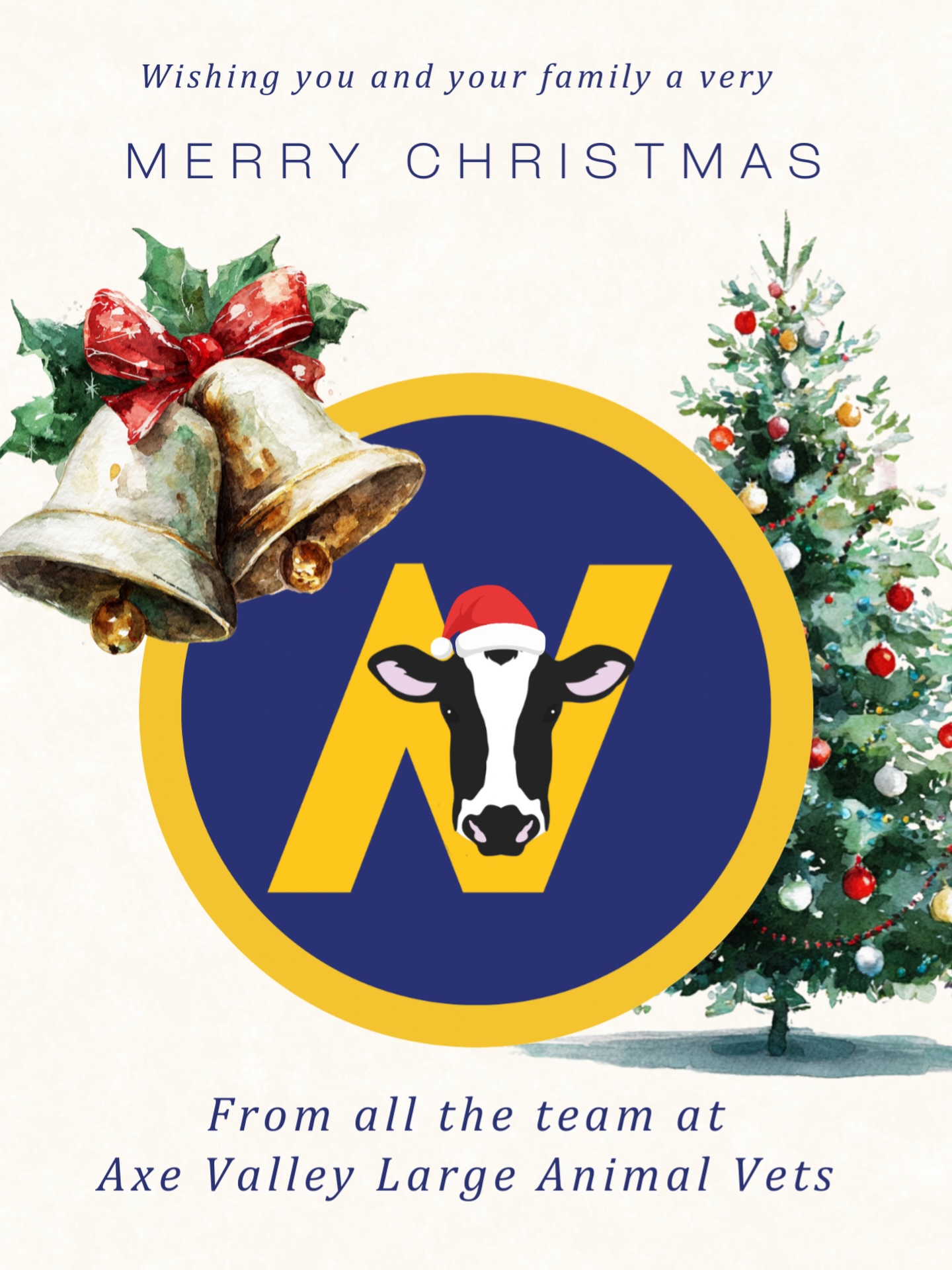 Wishing all our clients a very Merry Christmas!