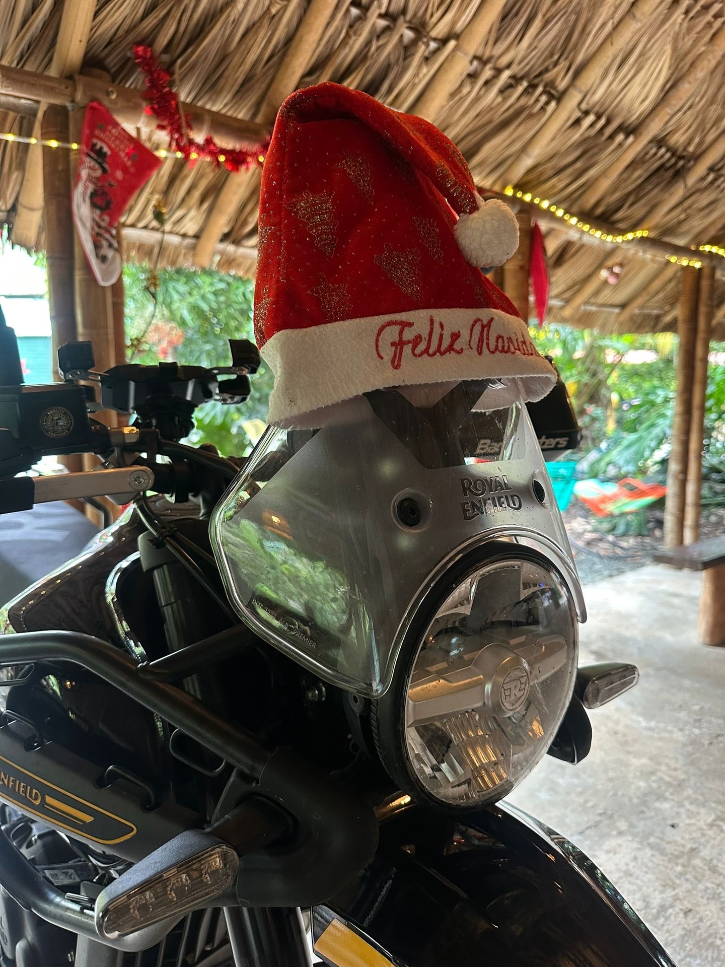 MERRY CHRISTMAS FROM DONKEY SUNRISE! 🎄✨
From our Donkey Sunrise family to yours: we wish you an amazing time!
We’re getting ready for a delicious, joyful Christmas dinner with our moto fam tonight. ❤️🌴🇨🇴
Make it a good one!
Big hugs,
The Donkey Sunrise team