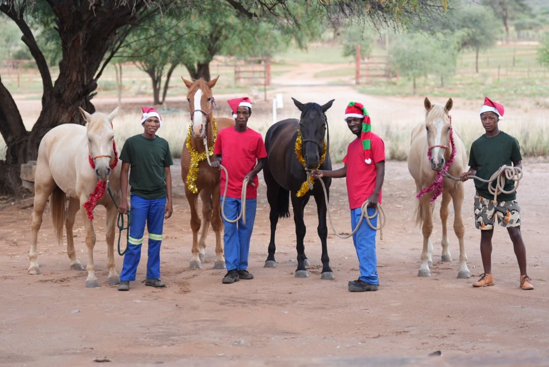 We would like to wish to all of our guests and participants of Horse Riding Safaris and volounteer project Merry Christmas!
Warm greetings from our team. See you next year!
🌲🦒🦓
#merrychristmaseveryone #christmasafrica #christmasnamibia #merry_christmas #namibianchristmas