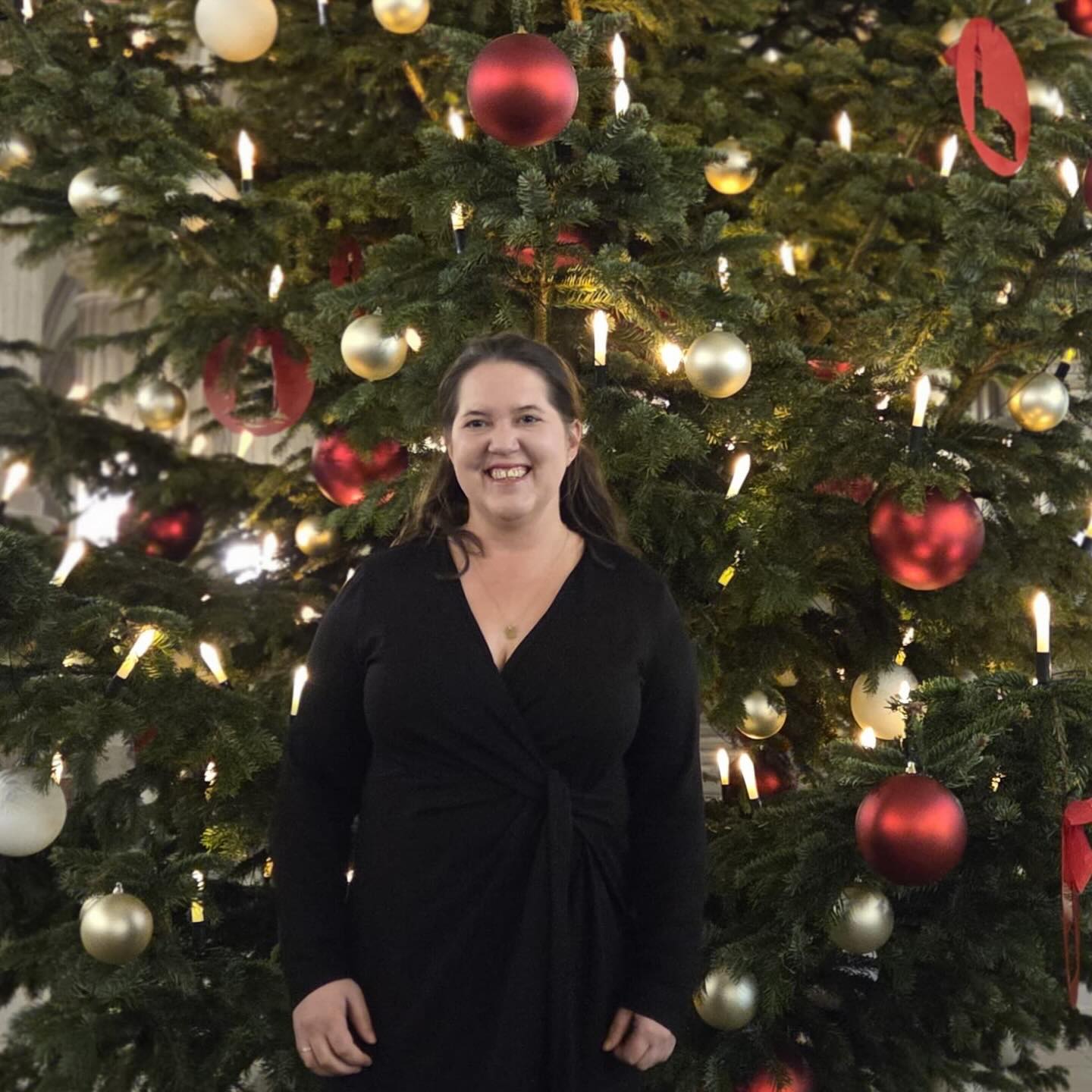 🎄Ich wünsche Euch allen ein schönes Weihnachtsfest! 🎄#merrychristmas #weihnachten #frohesfest