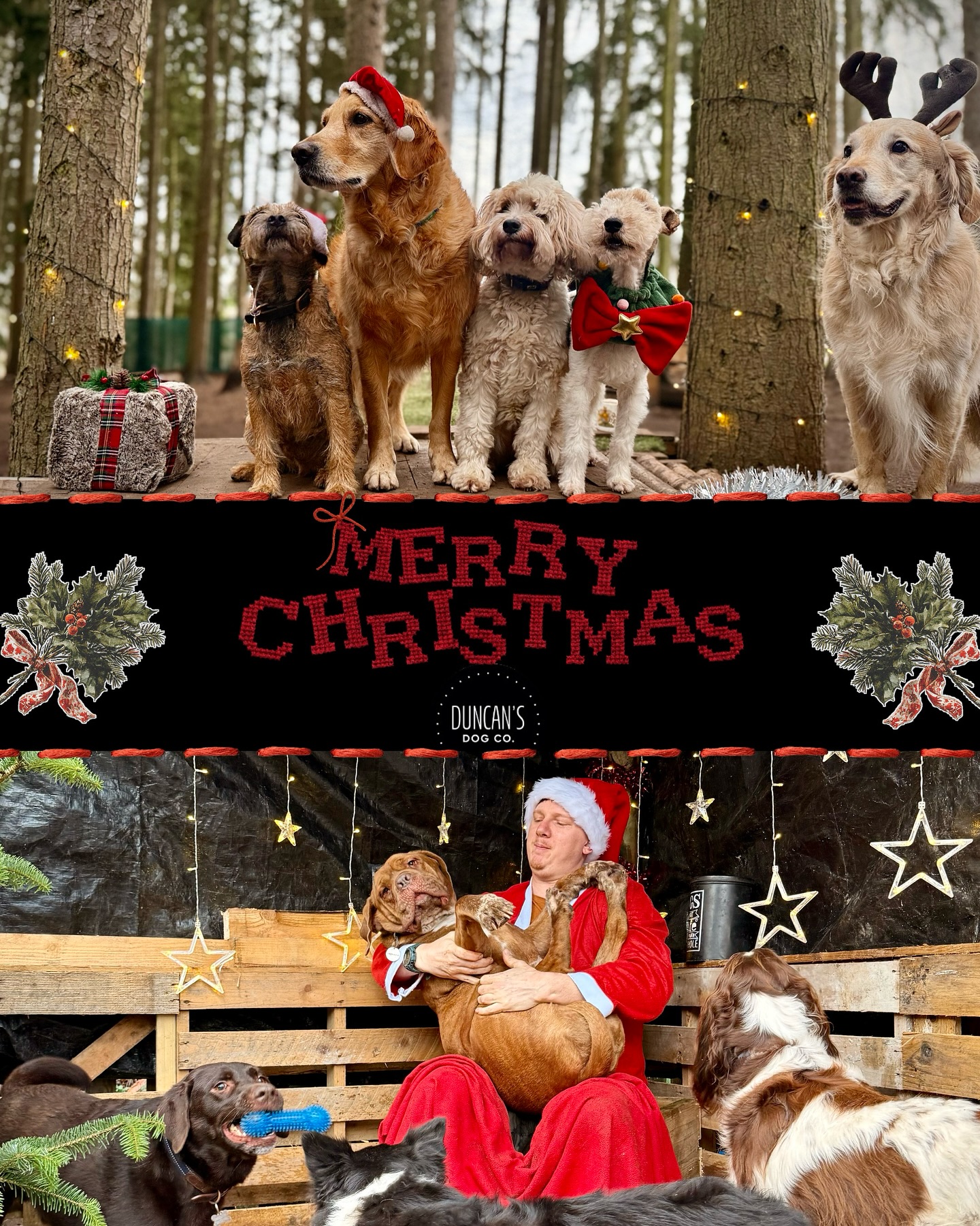 Wishing everyone a very Merry Christmas from all of us here at Duncan’s! 🎄🐾❤️
