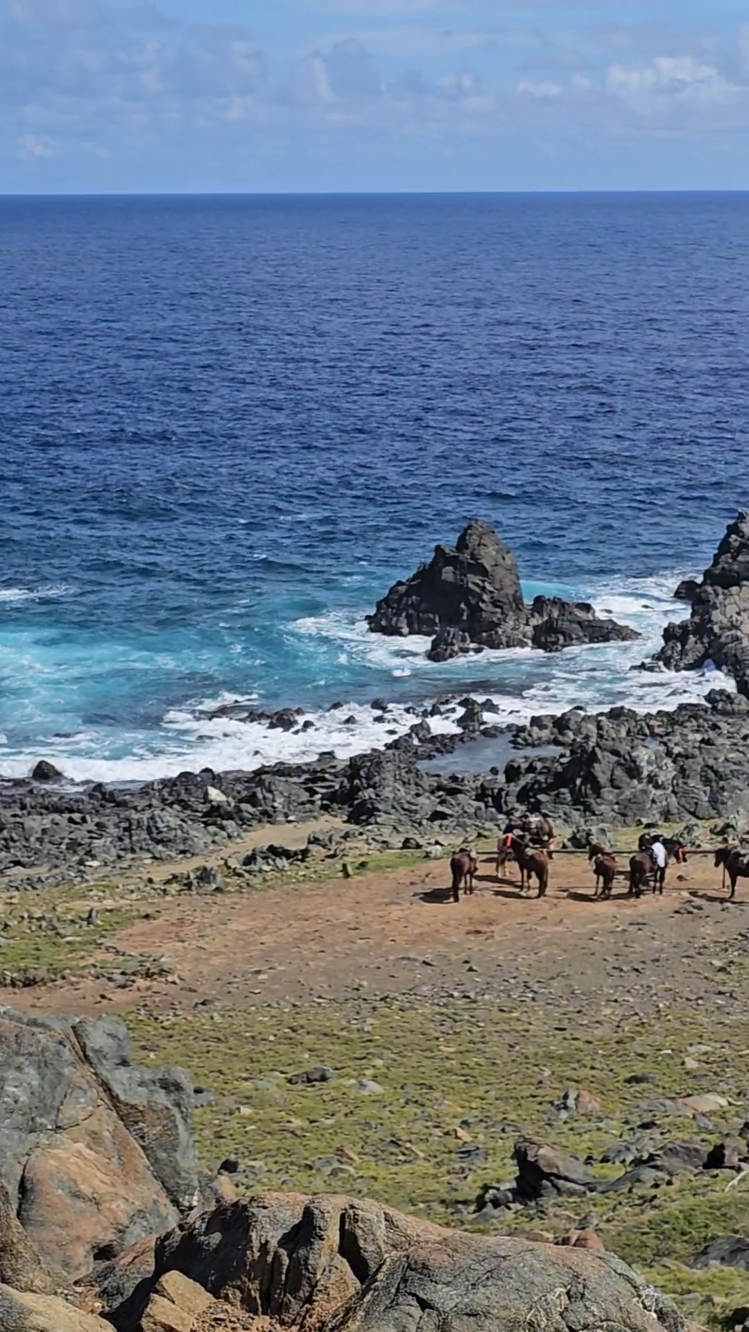 This is a weekly conversation my husband and I have! 😂
That travel itch hits hard—especially during winter when you’re craving sunshine but still need something that works with kids, real life, and a real budget.
Aruba ended up being one of those trips that surprised us, and is a family-friendly destination that we highly recommend!
If you’ve been dreaming of a warm-weather escape that doesn’t feel chaotic or over-the-top, this might be your sign... 🌴
Comment "ARUBA" and I'll DM you a link to our 7-Day Aruba with Kids Itinerary!
I hope you'll find it helpful or inspirational while planning your next getaway!
#TravelItch #FamilyTravelDreaming #AffordableFamilyTravel #ArubaWithKids #FamilyTravelRealLife #4TicketsToTravel #CaribbeanFamilyVacation