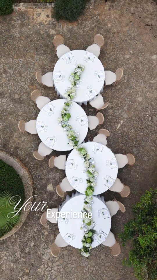 The Planner & Your Experience ✨️
Ein kleiner Einblick in ein Jahr voller schöner Momente und unvergesslicher Hochzeiten und Events mit La Cerise Weddings🍒❤️
Vielen Dank an meine wunderbaren Paare die mir ihr Vertrauen geschenkt haben, und an meine Dienstleisterkollegen, die mit mir zusammen Visionen Wirklichkeit werden haben lassen! 🫶🏻
...
A glimpse into a year full of beautiful moments and unforgettable weddings and events with La Cerise Weddings🍒❤️
Thanks to my amazing couples who trusted me and my colleges who made everything come to life! 🫶🏻
#weddingplannermallorca #weddingplannerbodensee #weddingplanneritaly
Es haben so viele tolle Dienstleister bei jedem einzelnen Event mitgewirkt, jeden zu markieren würde den Rahmen sprengen. Schaut in meinem Feed, dort ist jeder einzelne verlinkt oder fragt mich einfach! 😊