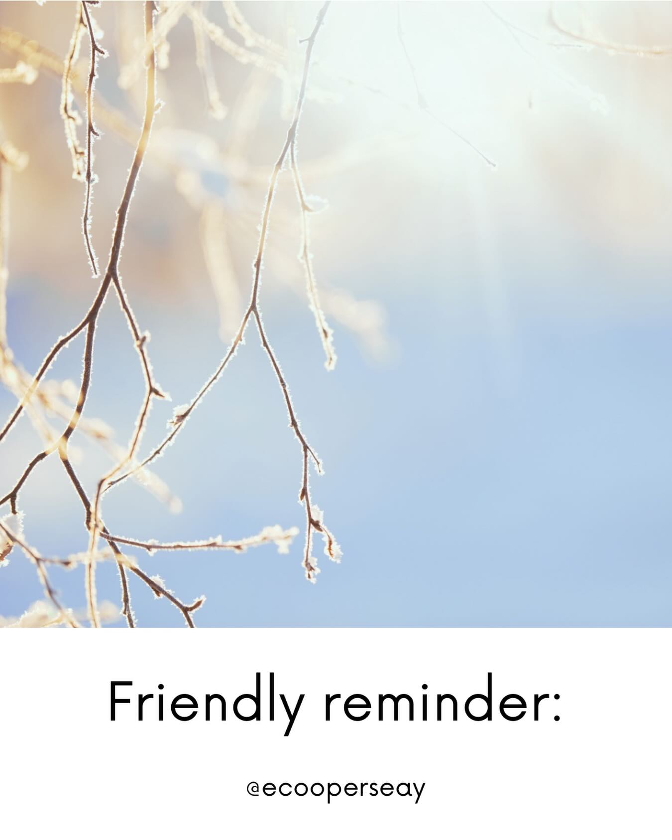 Friendly reminder:
You’re allowed to take a pause without earning it first.
#antahsara #pauseandreflect #healing