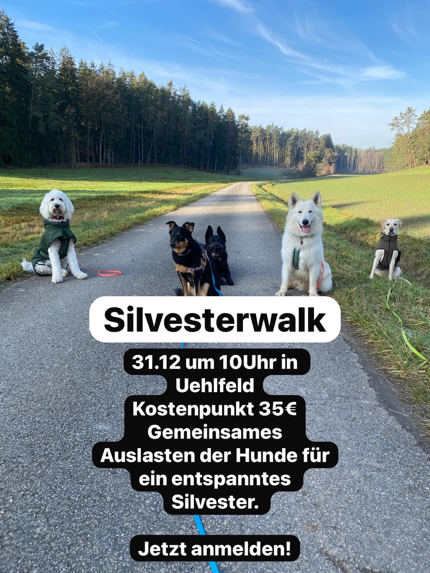 Anmeldung einfach per PN 😊
➡️Ich freue mich auf euch ♥️