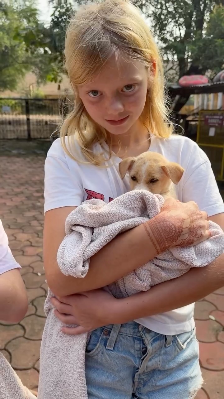 All fun and games, until it’s bath time! 🛁
Puppy washing is a huge help, and volunteers are always welcome to get involved. You’d be amazed at how quickly they get mucky! Regular baths also help protect them from fleas, ticks, and other pesky parasites.
If you find yourself with some spare time over the festive period, why not pop in and lend a helping hand? We’d love to see you!
#animalrescue #animalshelter #dogsofinstagram #adoptdontshop #puppies