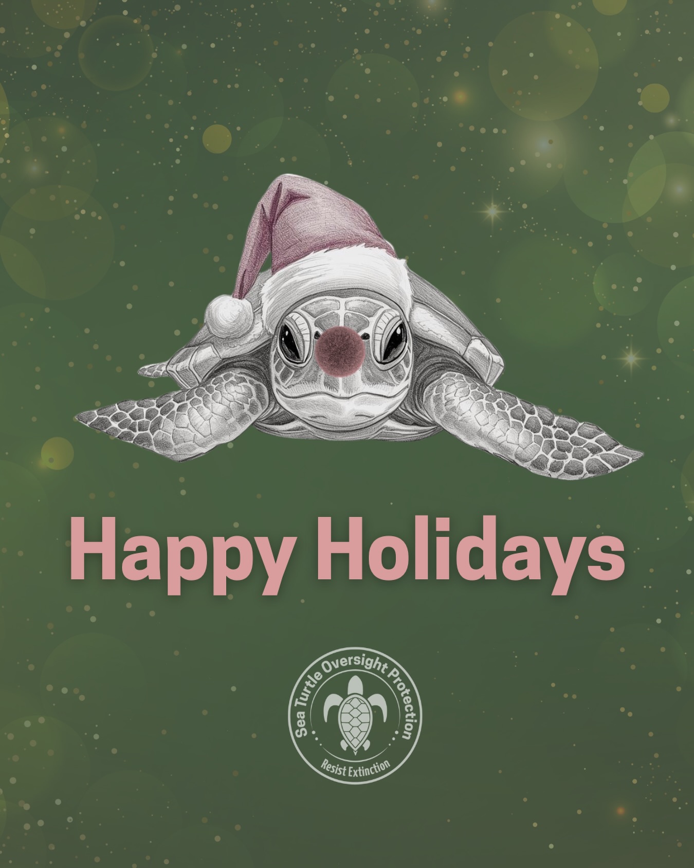 Happy holidays from all of us at Sea Turtle Oversight Protection 🎄🐢 Wishing you a season filled with warmth, gratitude, and ocean love. 💙
#HappyHolidays #SeaTurtles #ProtectSeaTurtles #ConservationMatters #OceanLove WildlifeProtection GiveBackSeason FloridaNonprofit SaveOurSeas