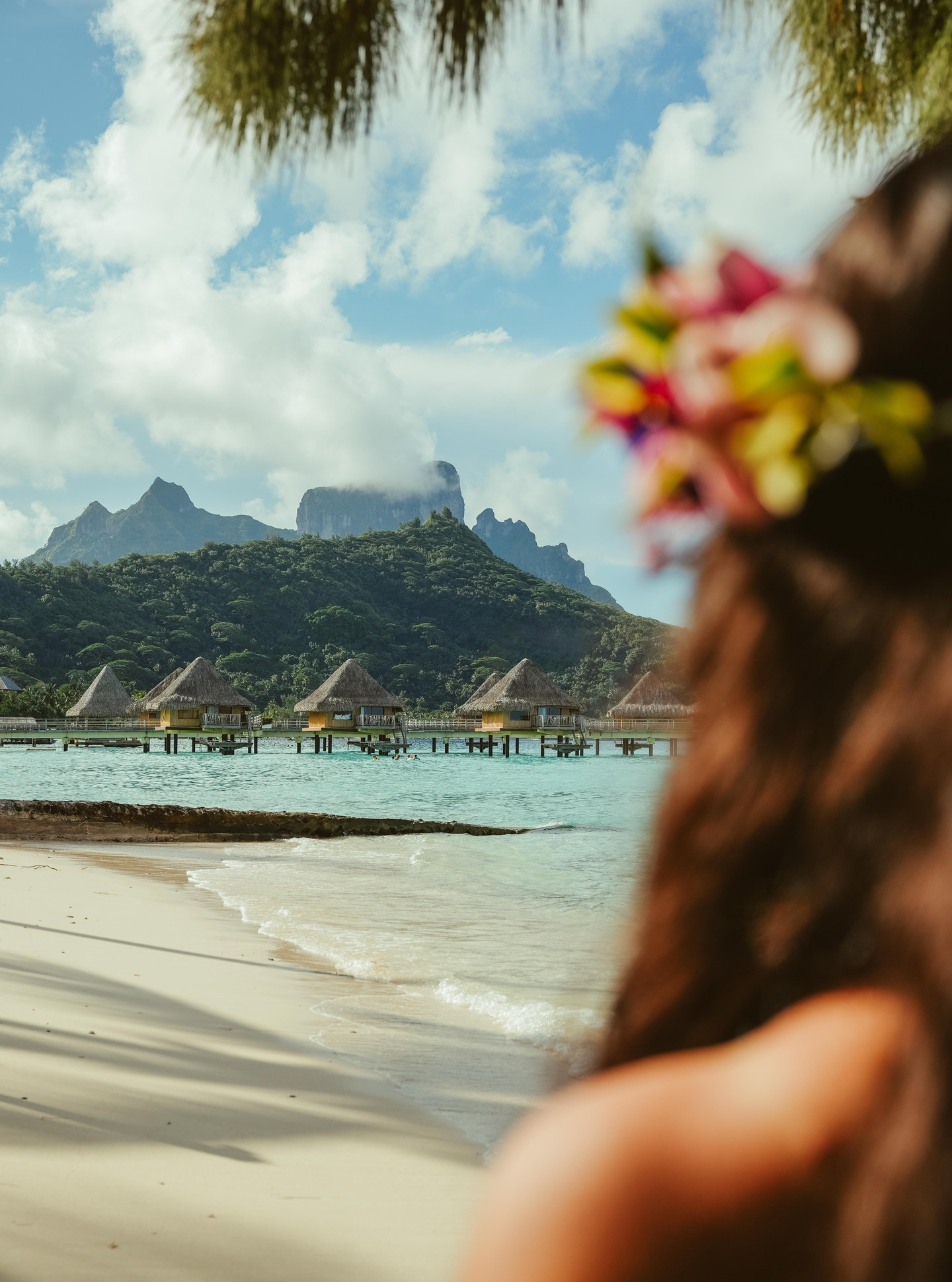 Navidad deja recuerdos, y algunos destinos prolongan la magia.
Entre el azul del lagón y las montañas de Bora Bora, el viaje se convierte en el regalo más preciado.
•
Christmas leaves memories, and some destinations extend the magic.
Between the blue of the lagoon and the mountains of Bora Bora, travel becomes the most precious gift.
📷 @emmatournier_ @ic_boraboralemoana
#MoemoeaTravel #PolinesiaFrancesa #FrenchPolynesia #BoraBora #MoanaBoraBora #MountOtemanu #HolidayEscape #ChristmasTravel #IslandLuxury #TravelInspiration #LoveTahiti