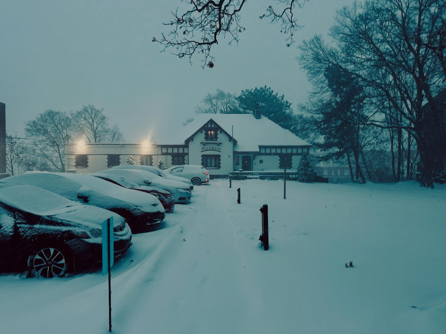 Merry Christmas from Marwood! Have a relaxing break, see you soon!