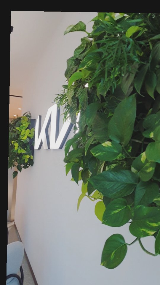 Ďakujeme za vašu dôveru 💚. Nech to všetko pekne rastie aj v Novom roku 🍀.
#ziveobrazy #zelenesteny #eo je #zivot