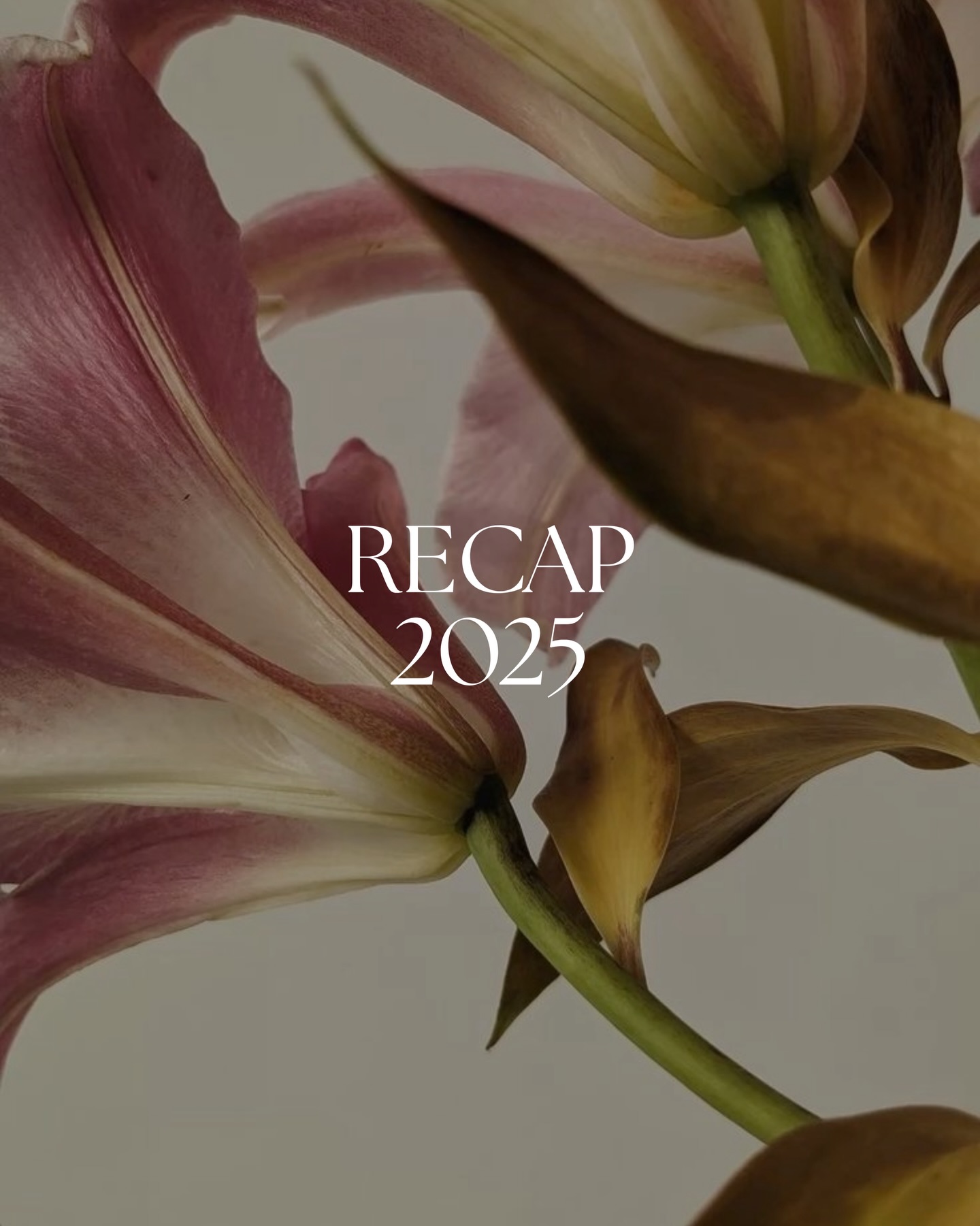 Cierro un año intenso y miro al próximo con ilusión. Me siento afortunada y con la certeza de que lo importante se construye con esfuerzo, alma y corazón. Salta, confía. Gracias 2025. Bienvenido 2026.