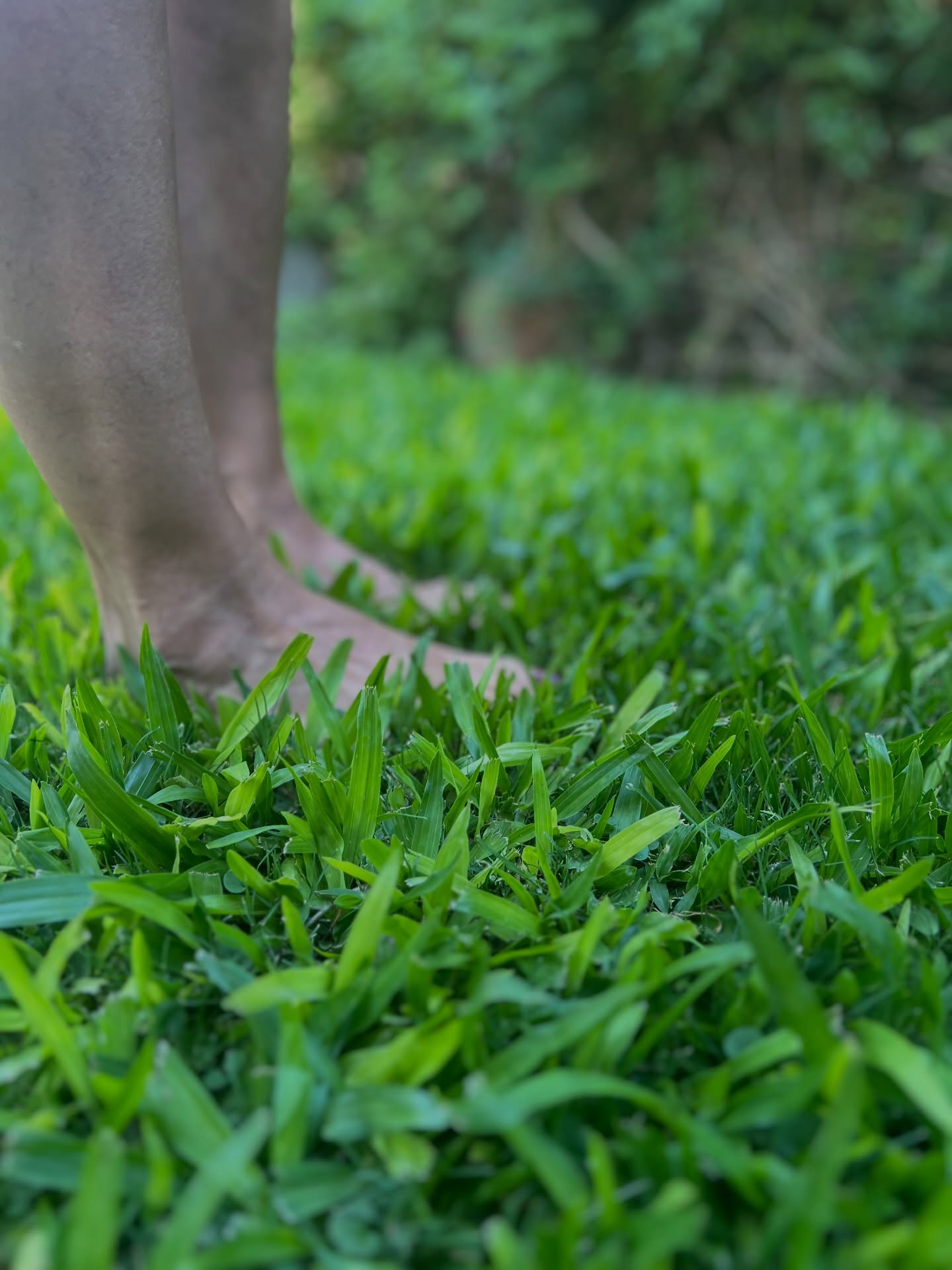 Volver a lo simple⏮️