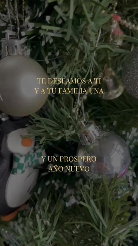 Feliz Navidad les deseamos el equipo Dinux SPA
#DinuxSPA #feliznavidad