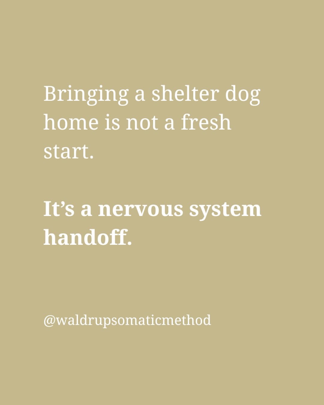 Please read, remember & share! Repost @waldrupsomaticmethod